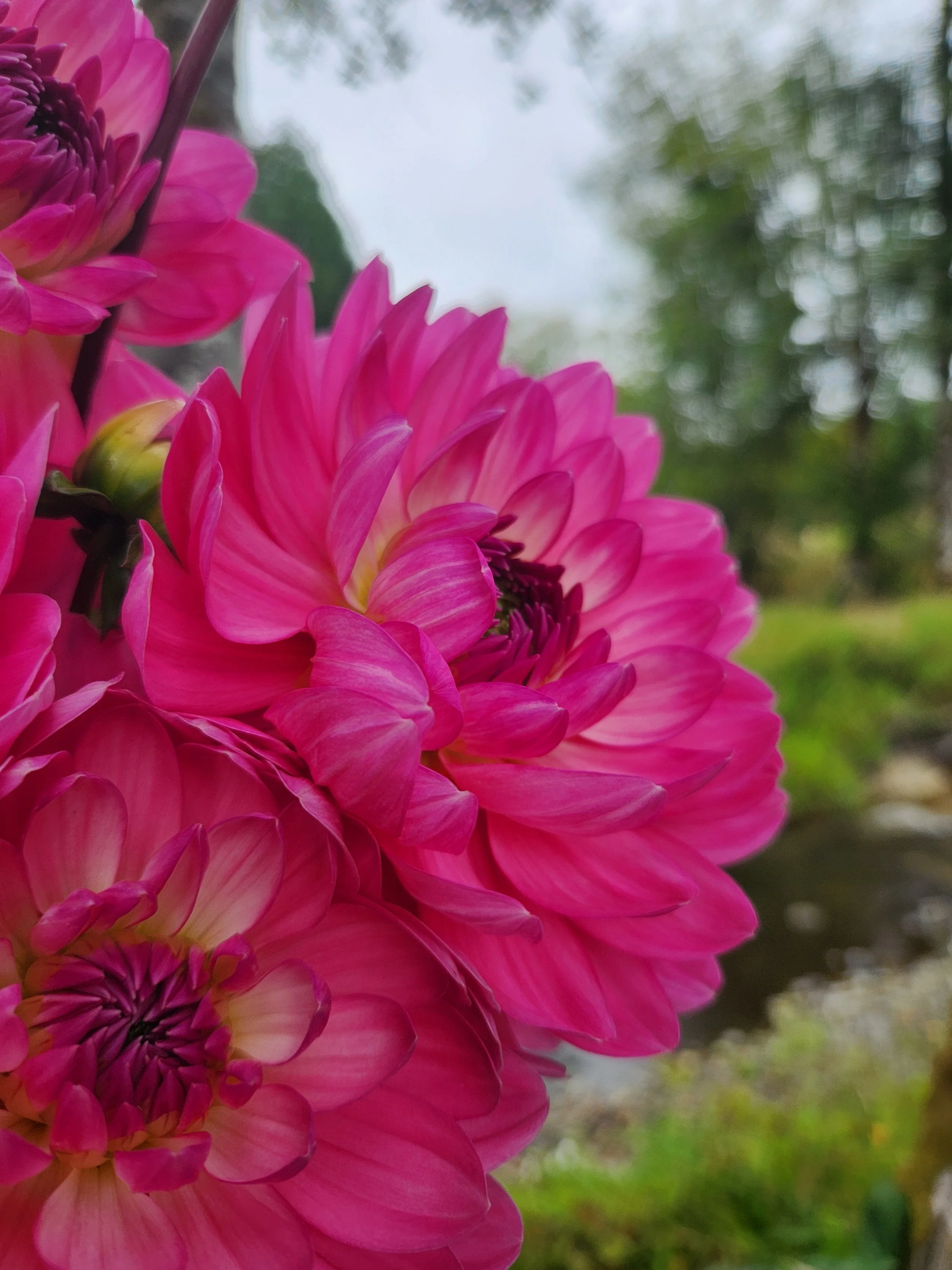 20260817_030617[1].jpg