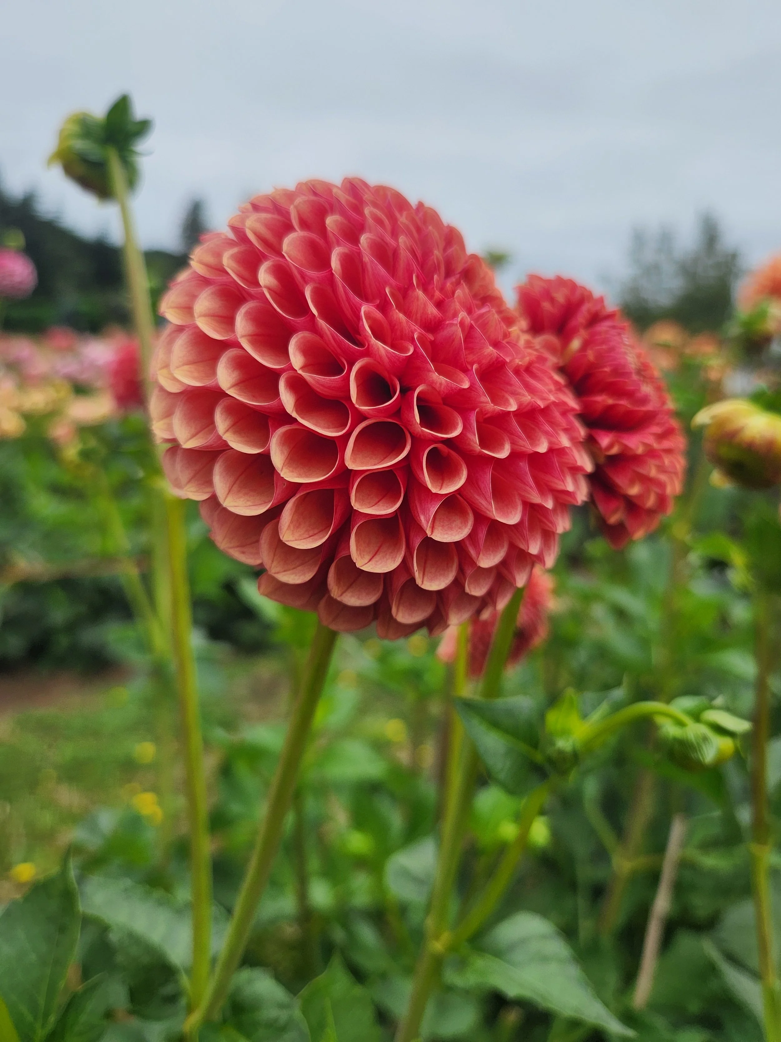 20260816_021938[1].jpg