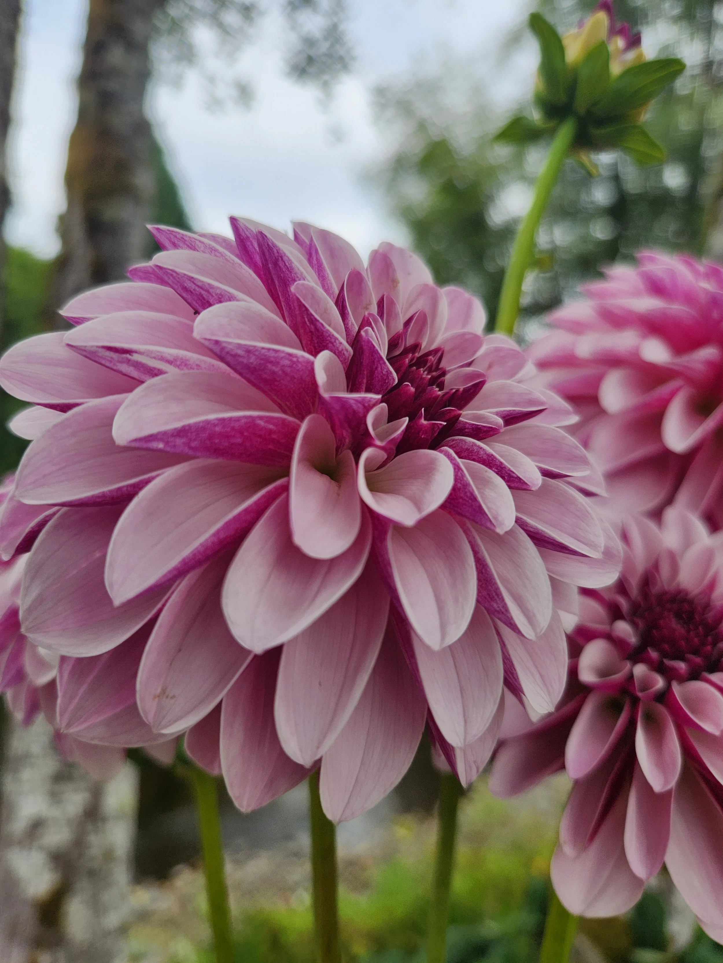 20260816_082014[1].jpg