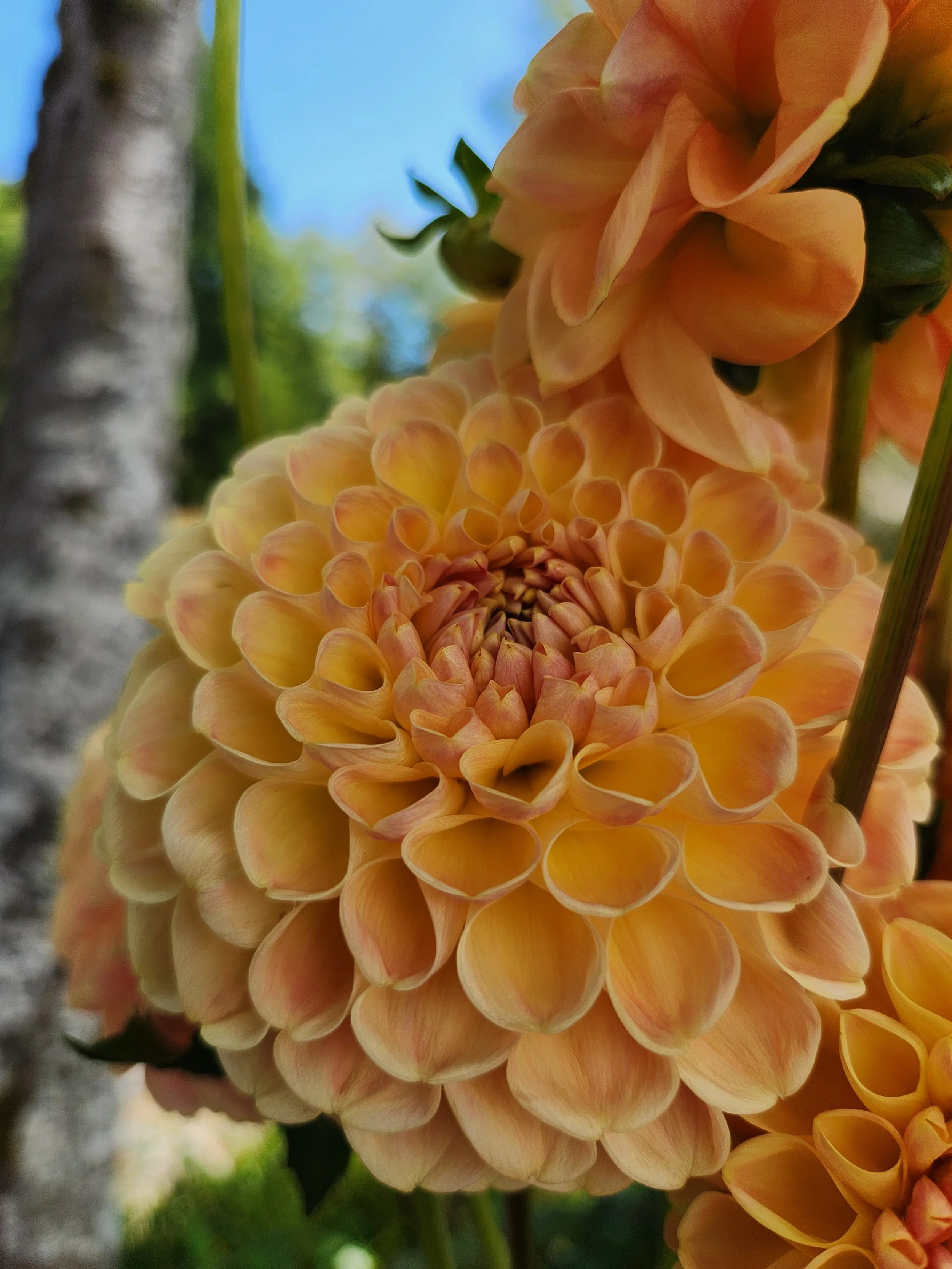 20260810_054652[1].jpg