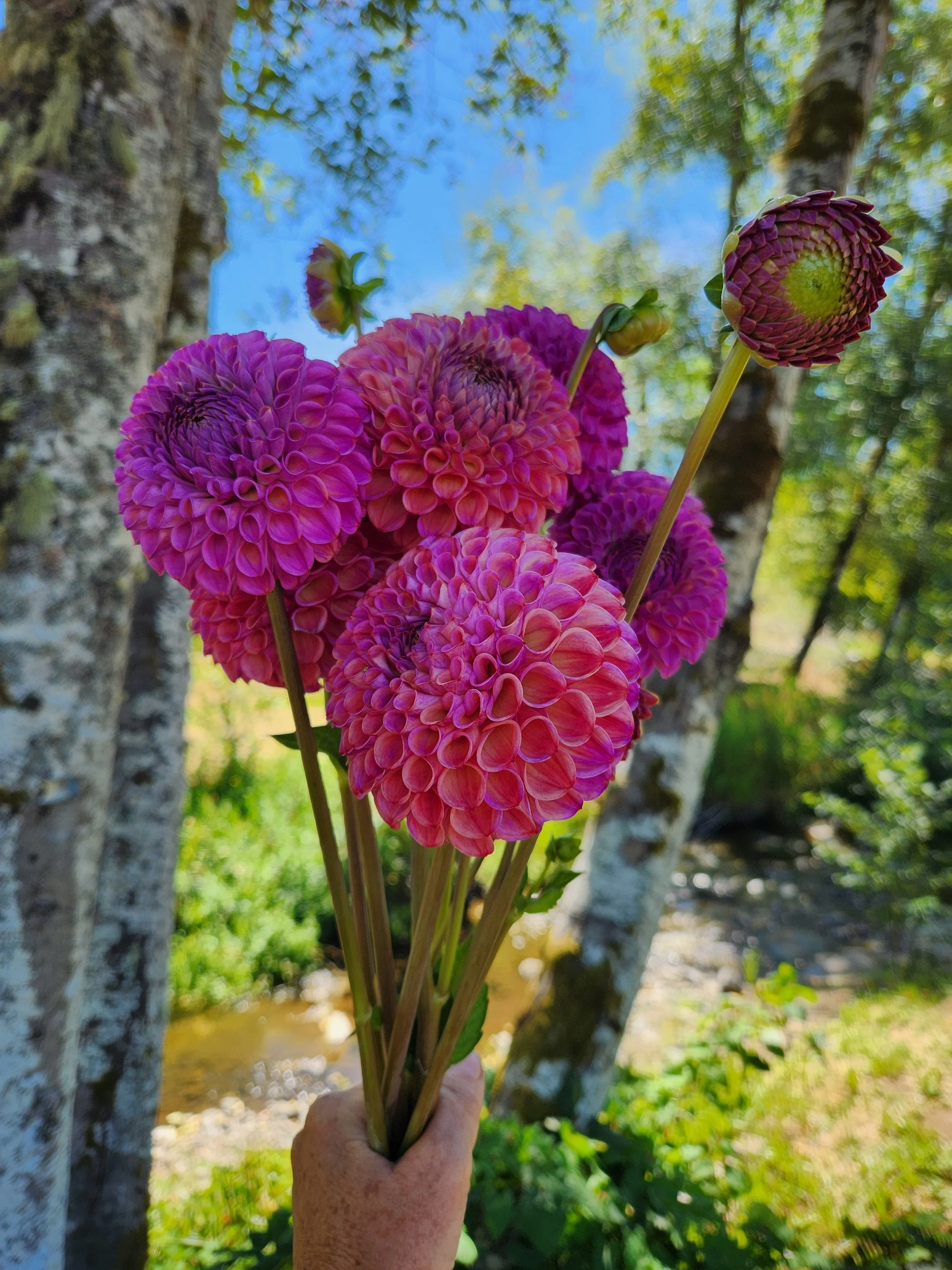 20260809_034317[1].jpg