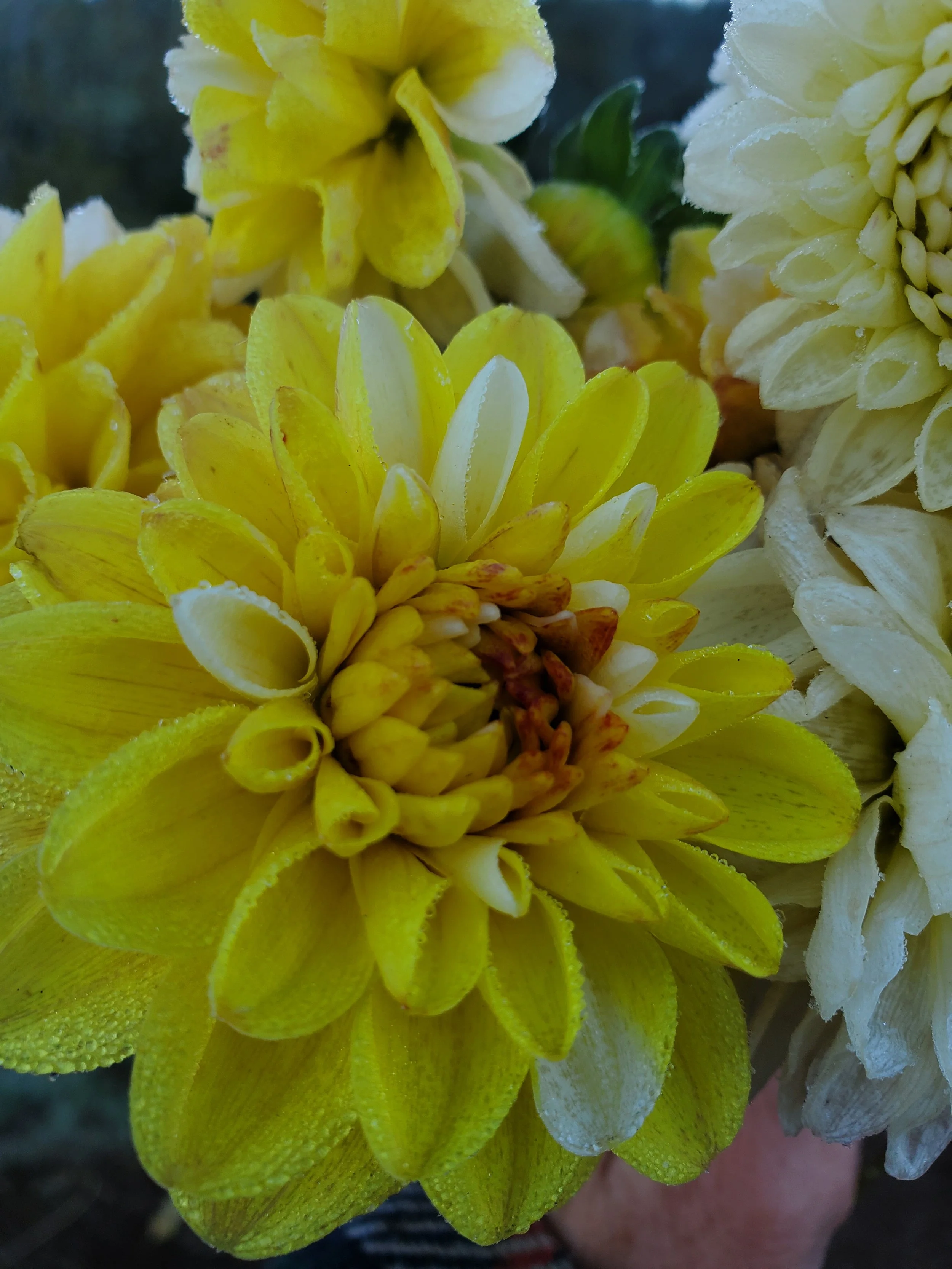 20251014_081002.jpg