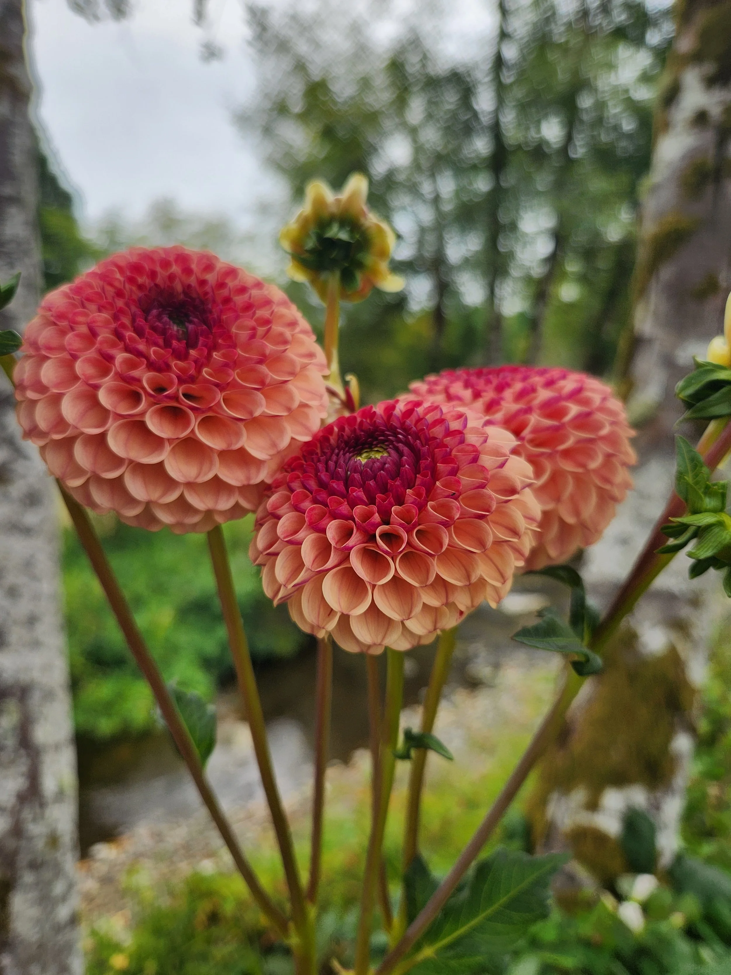 20260822_032353[1].jpg