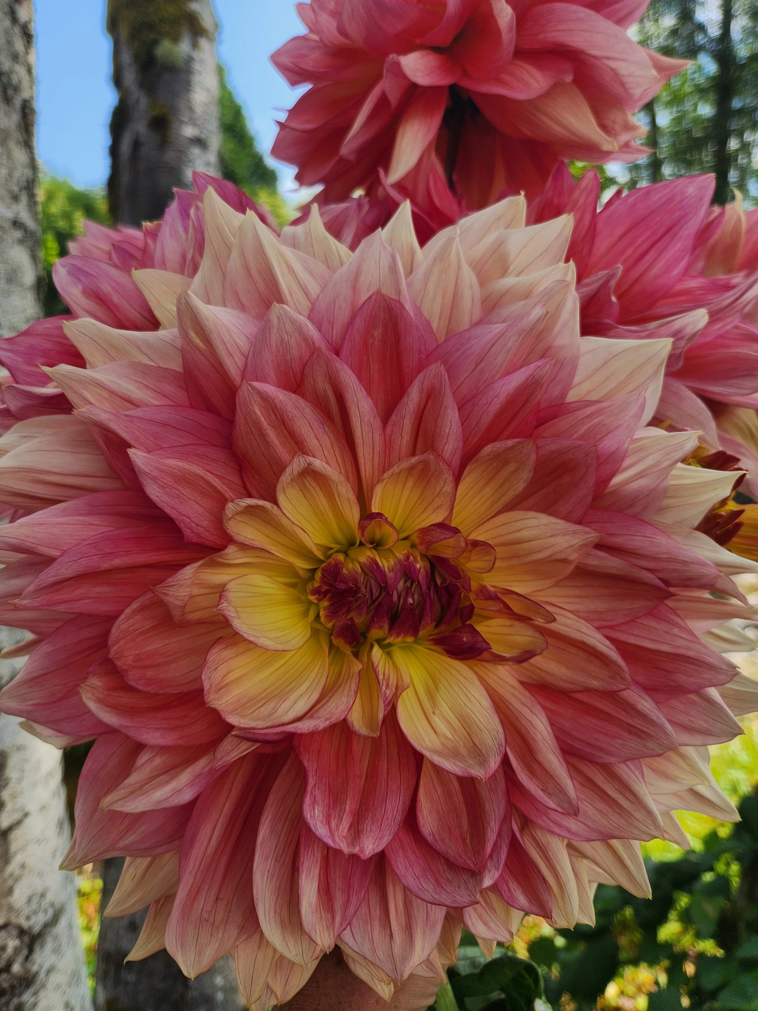 20260817_053012[1].jpg
