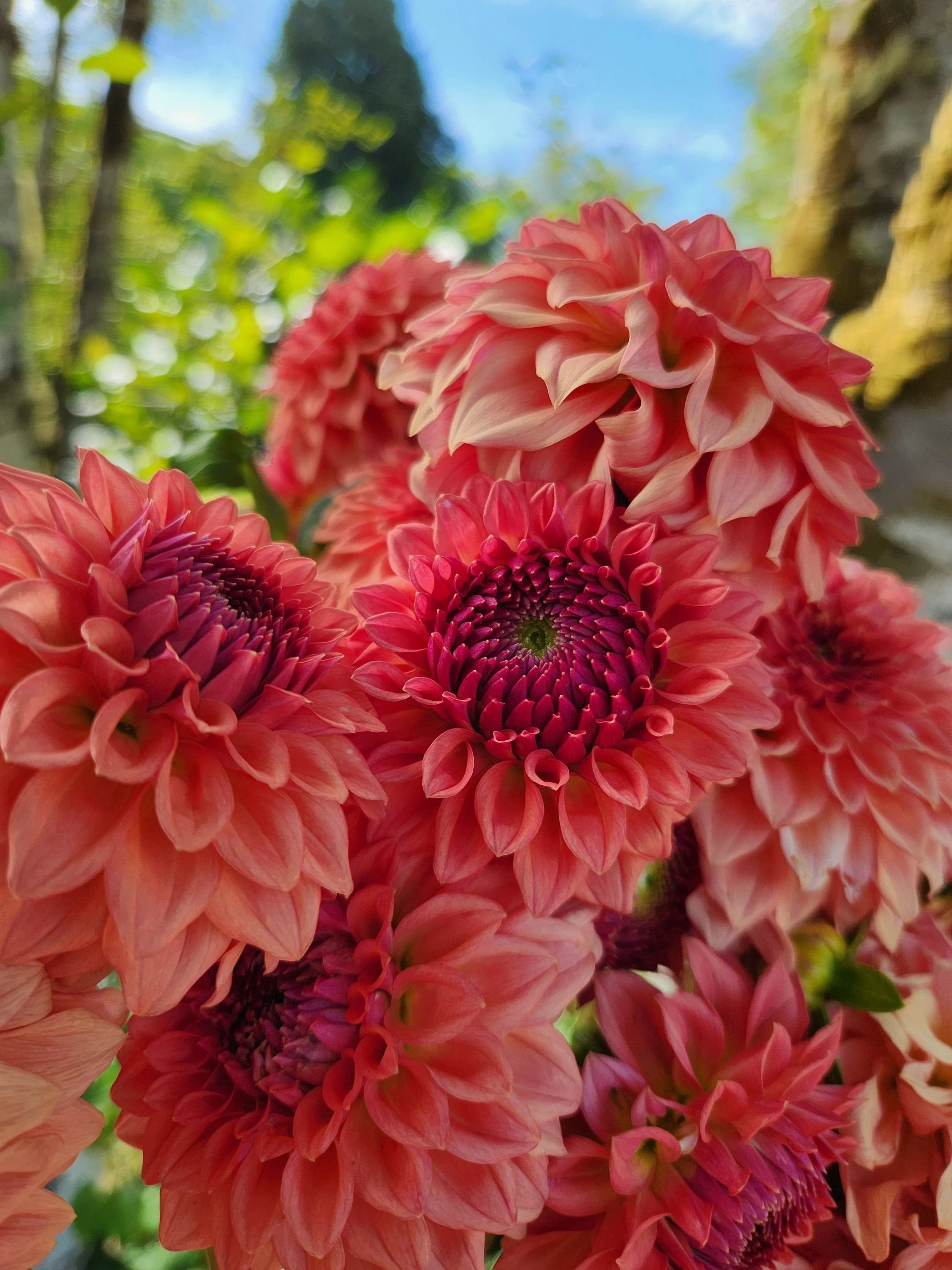 20260809_014552.jpg