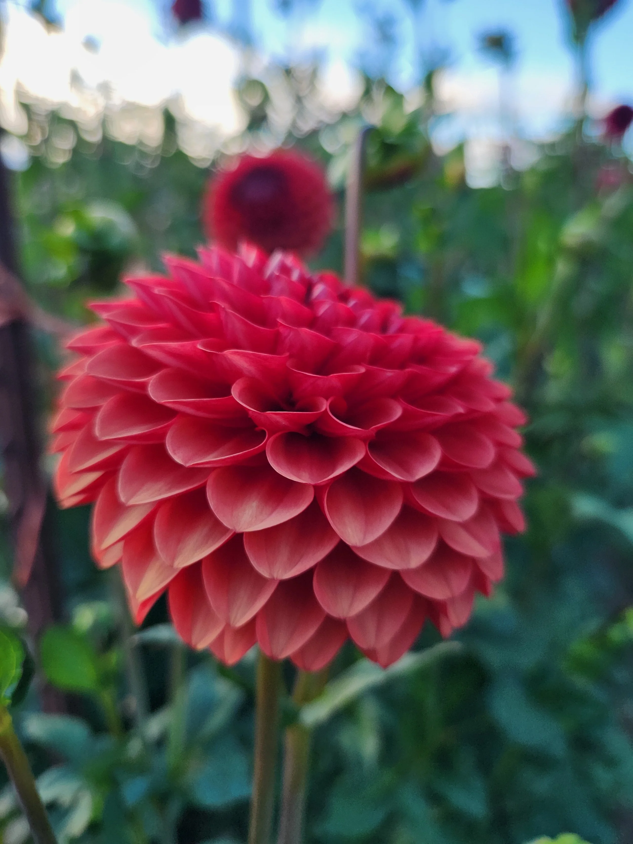 20260812_100924[1].jpg