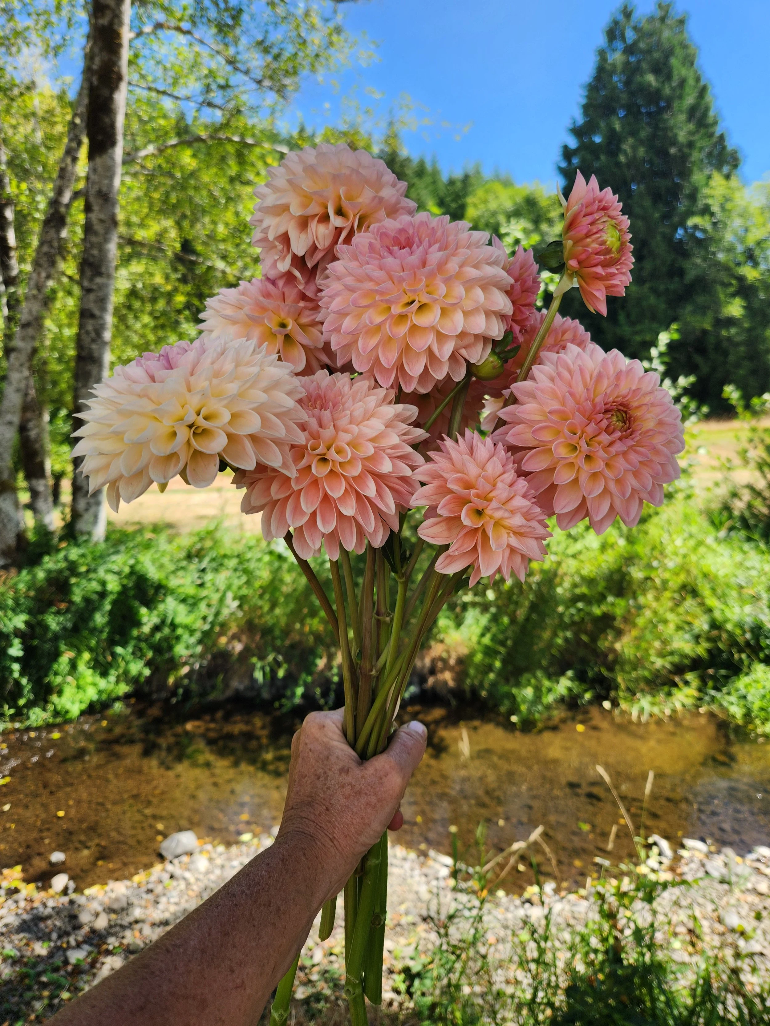20260810_043340[1].jpg