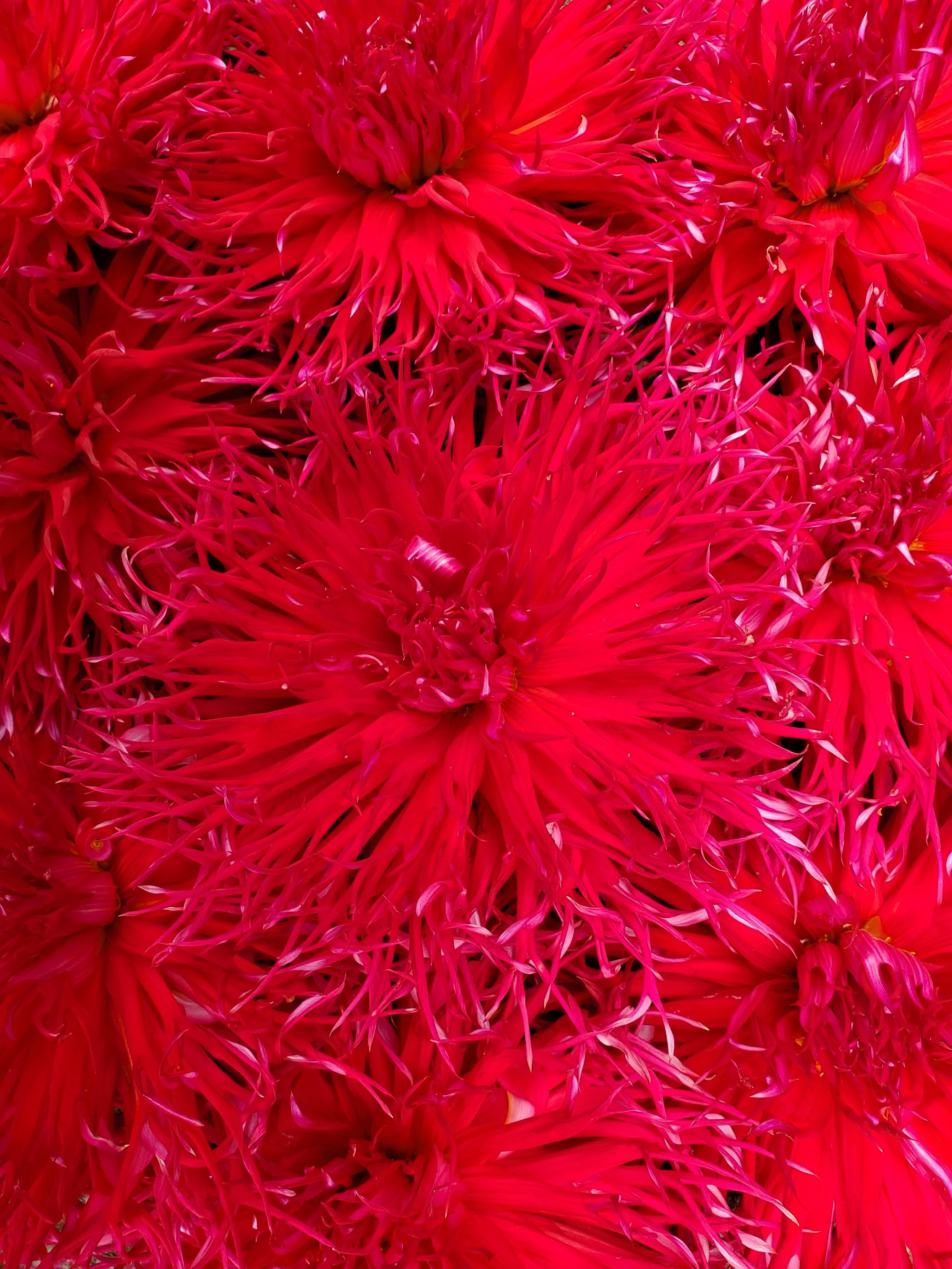 20250901_102959.jpg