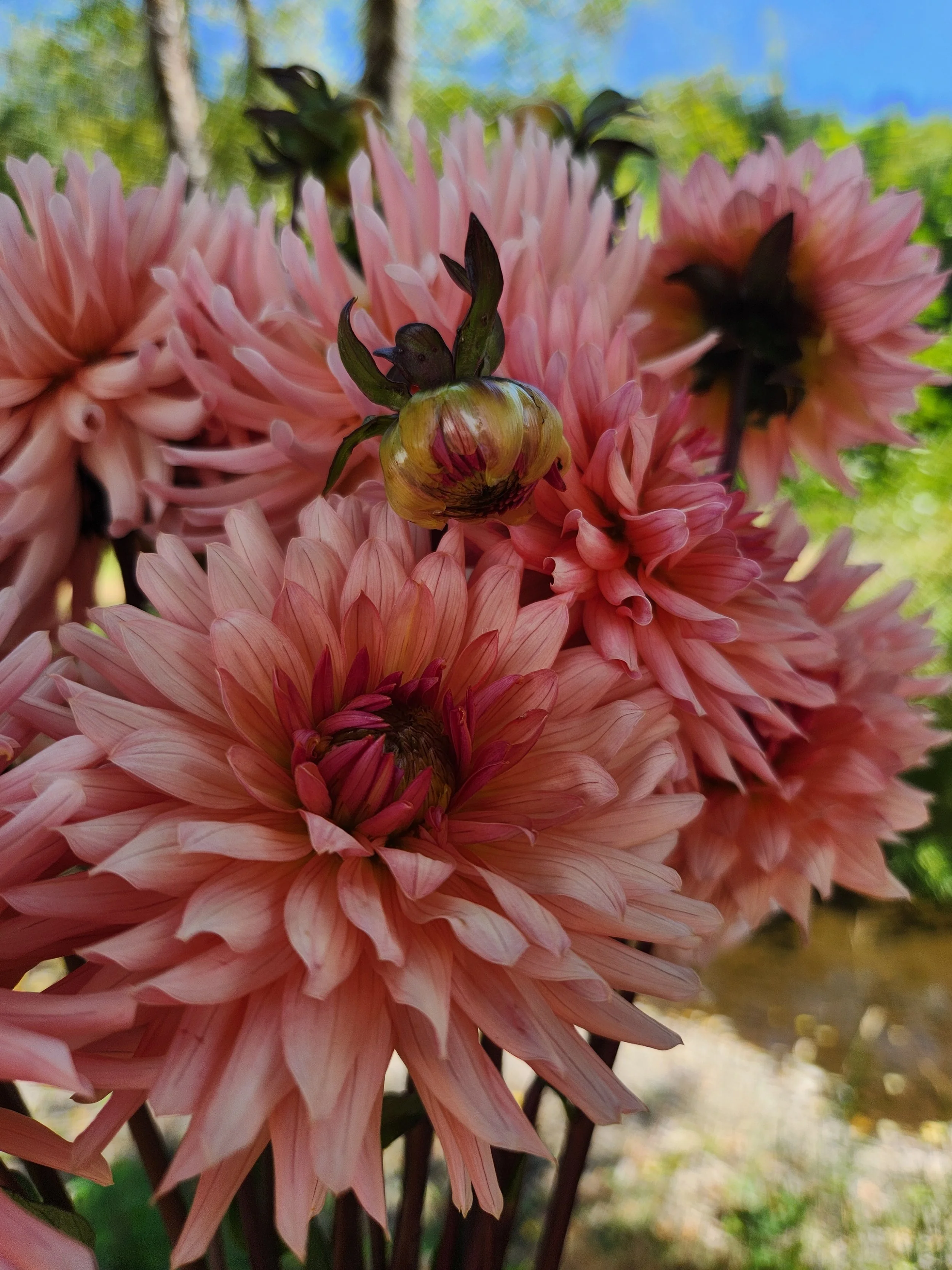 20260810_043027[1].jpg