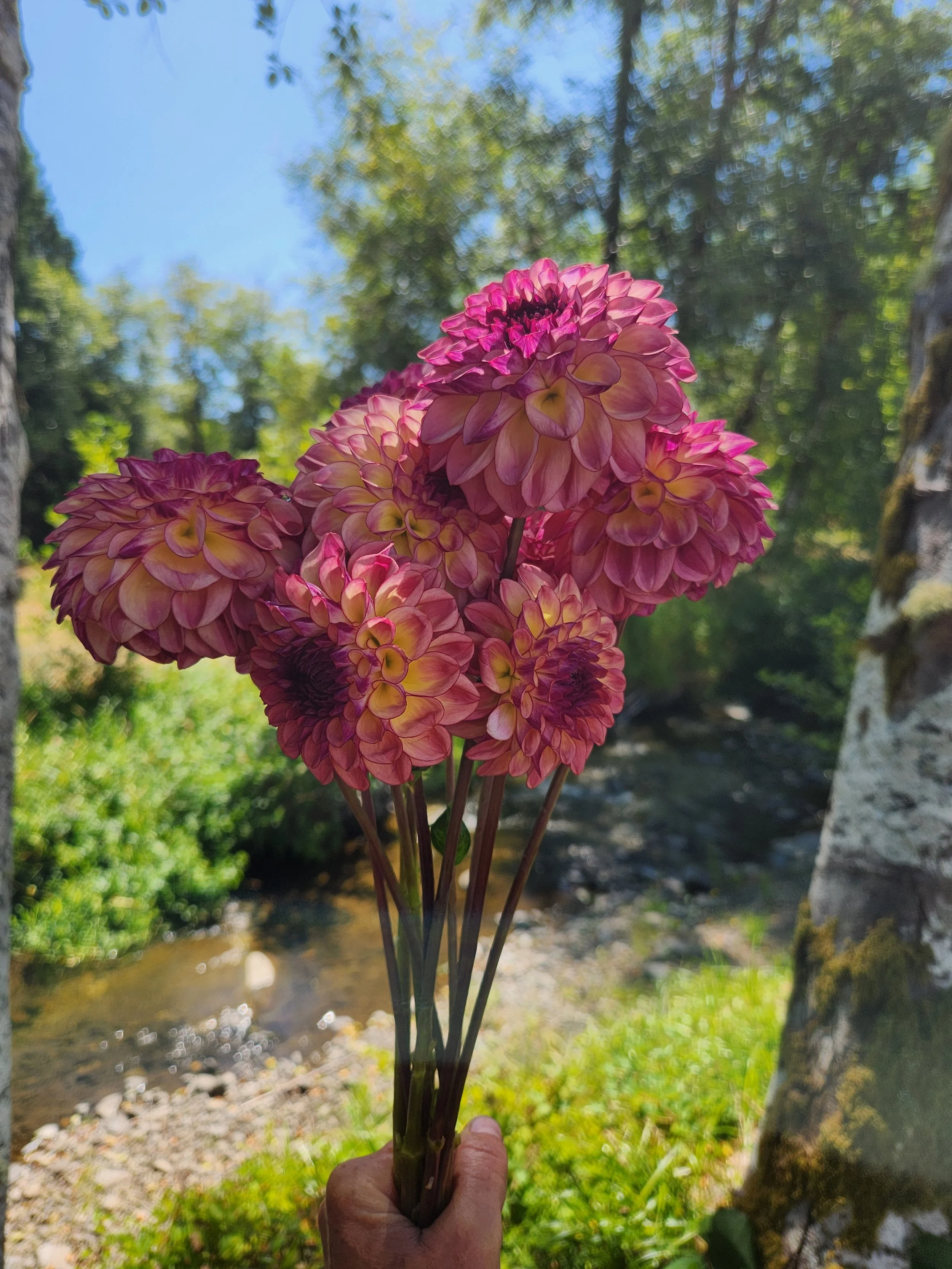 20260810_040447[1].jpg