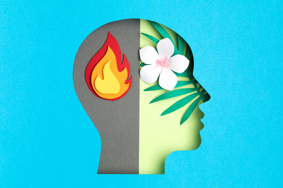 A side profile of a human head with a fire symbol on the left side and a flower with leaves on the right side, set against a blue background.