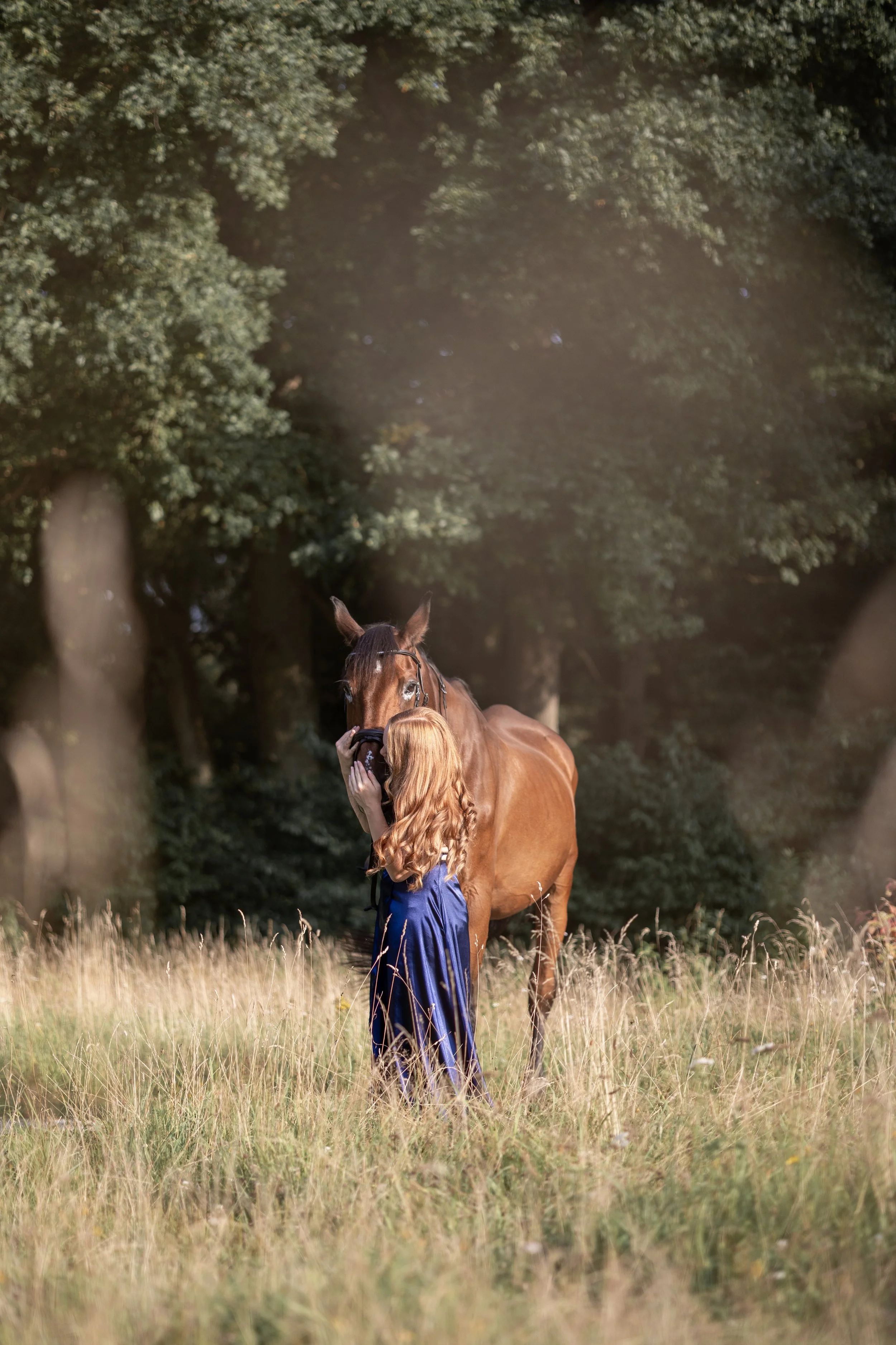 Eine rothaarige junge Frau mit blauem Kleid umarmt ein braunes Pferd in einer Wiese vor einem Baum, Sonnenlicht durchdringt das Laub.