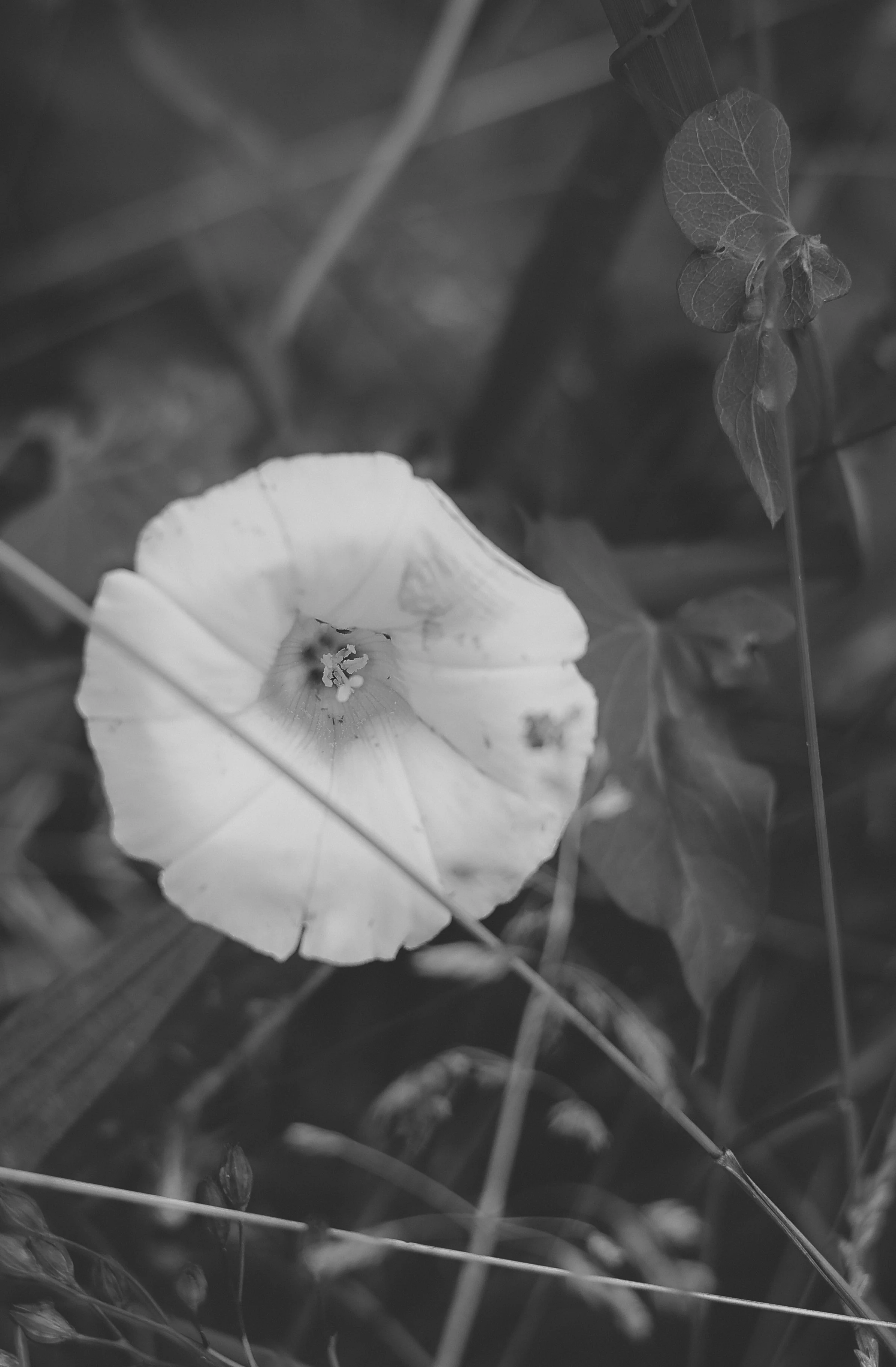 270A4862.jpg