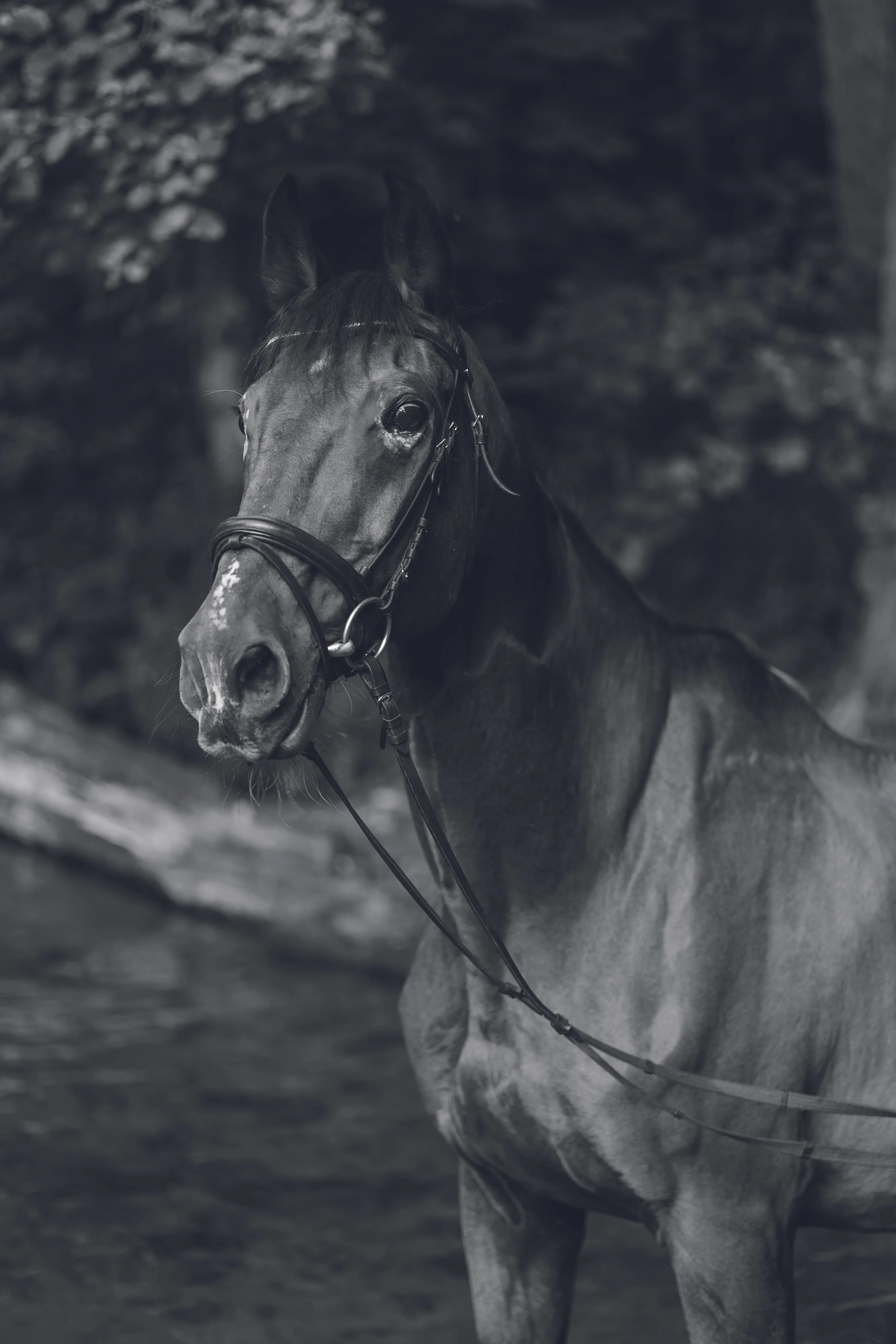 Annalena_Monopoly-031.jpg