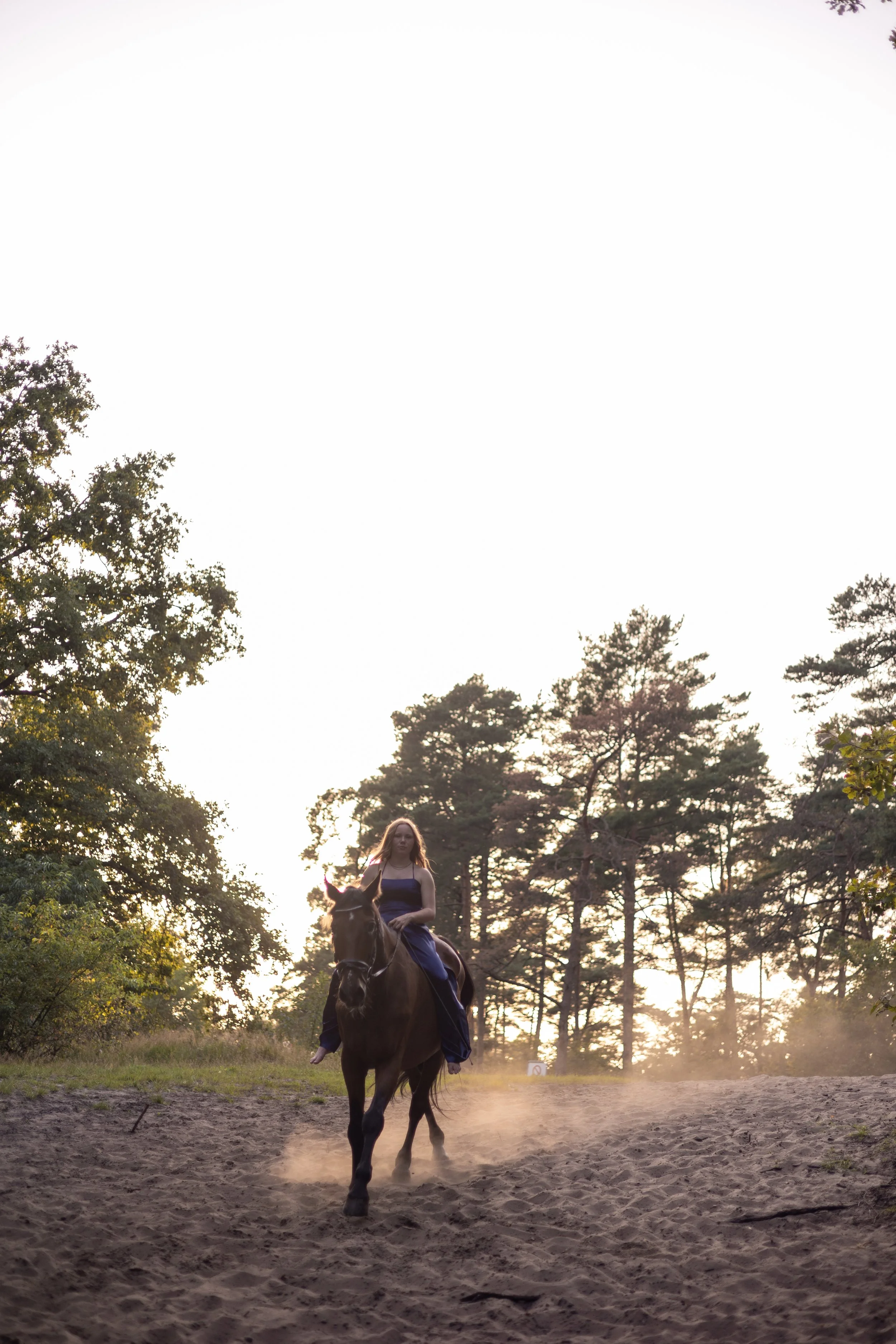 Junge Frau reitet auf einem schwarzen Pferd durch den Sand im Freien, umgeben von Bäumen bei Sonnenuntergang.
