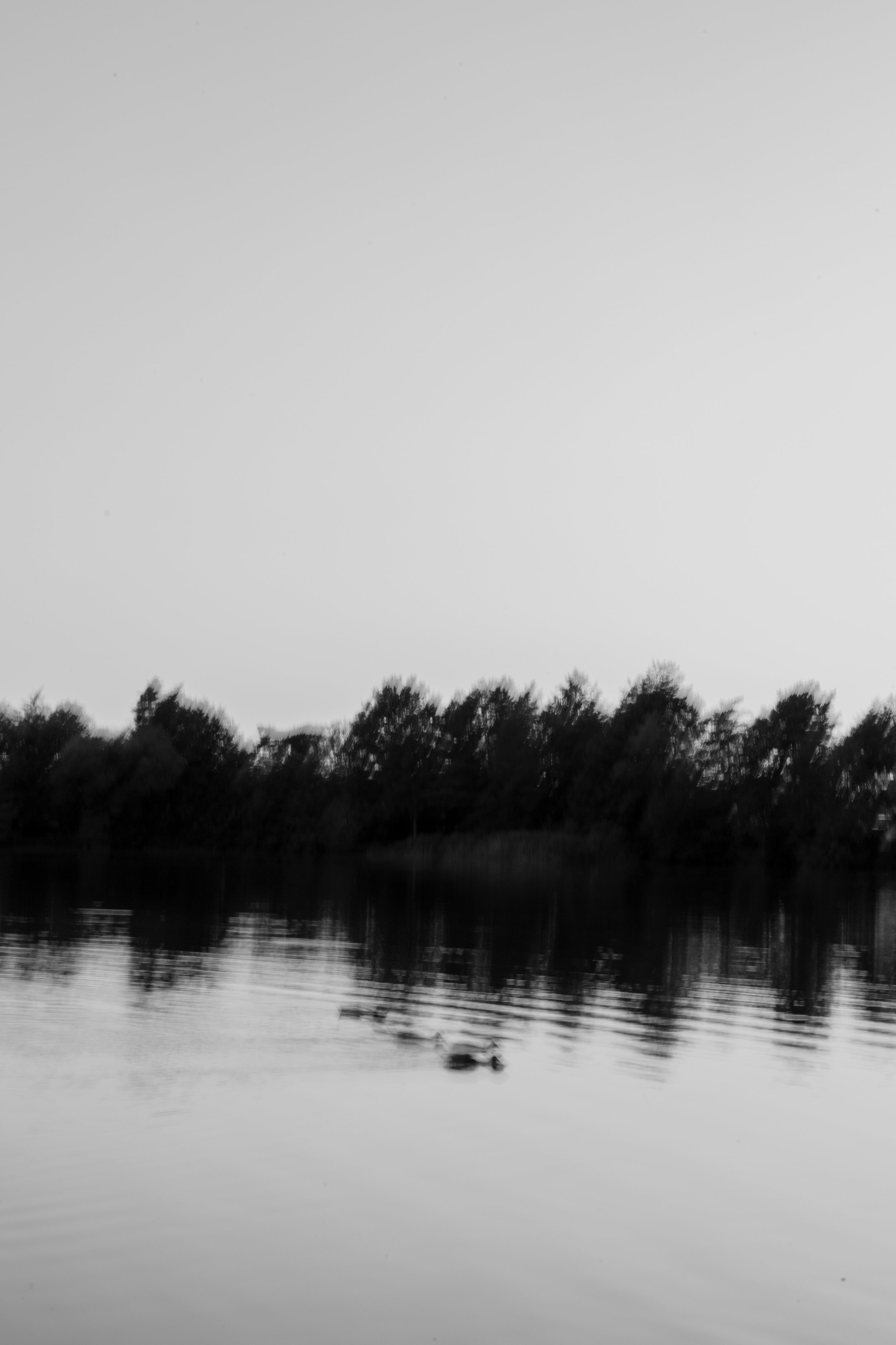 Schwarz-Weiß-Bild eines Sees mit Baumreihe am Horizont, reflektiert im Wasser, bei Sonnenuntergang oder -aufgang.