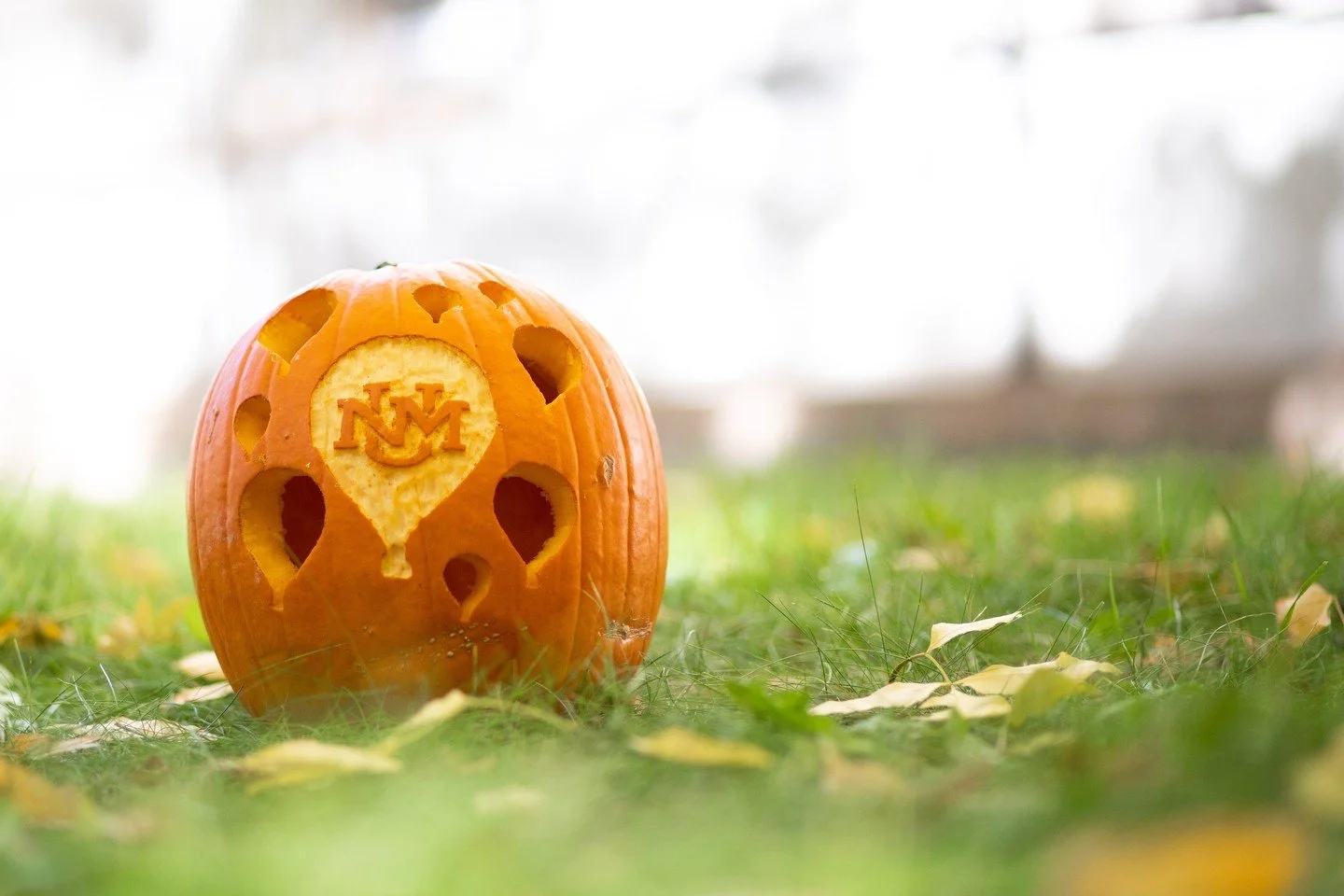 Fall is in full swing at UNM. 🎃🍂

And while we&rsquo;re taking in the season, we&rsquo;re also looking ahead.

Accelerate New Mexico is about believing in what&rsquo;s possible for UNM and coming together to help make it happen, for our students, o