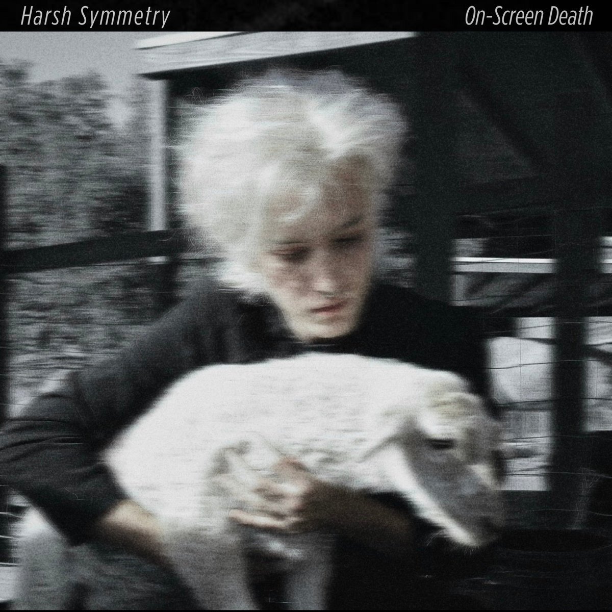 Harsh Symmetry - On-Screen Death (Mastering)