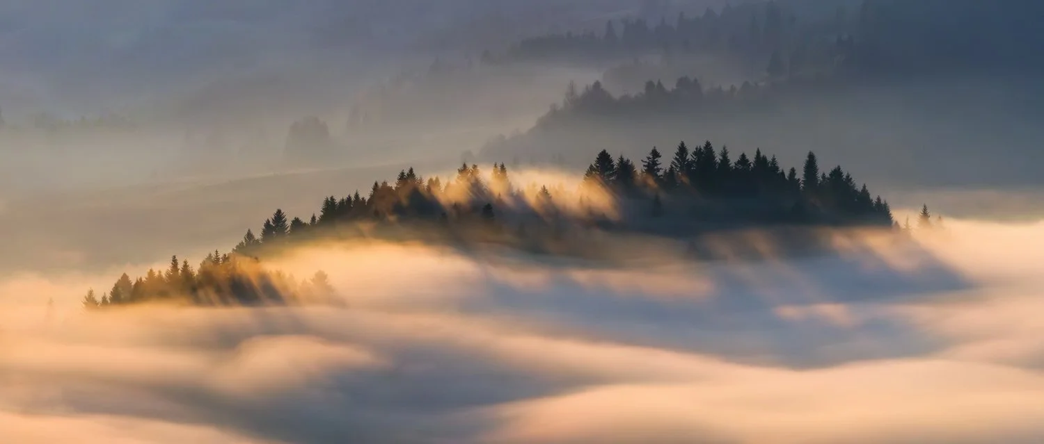 Calm foggy landscape of mountains and forested hills with clouds rising in a soft morning light.