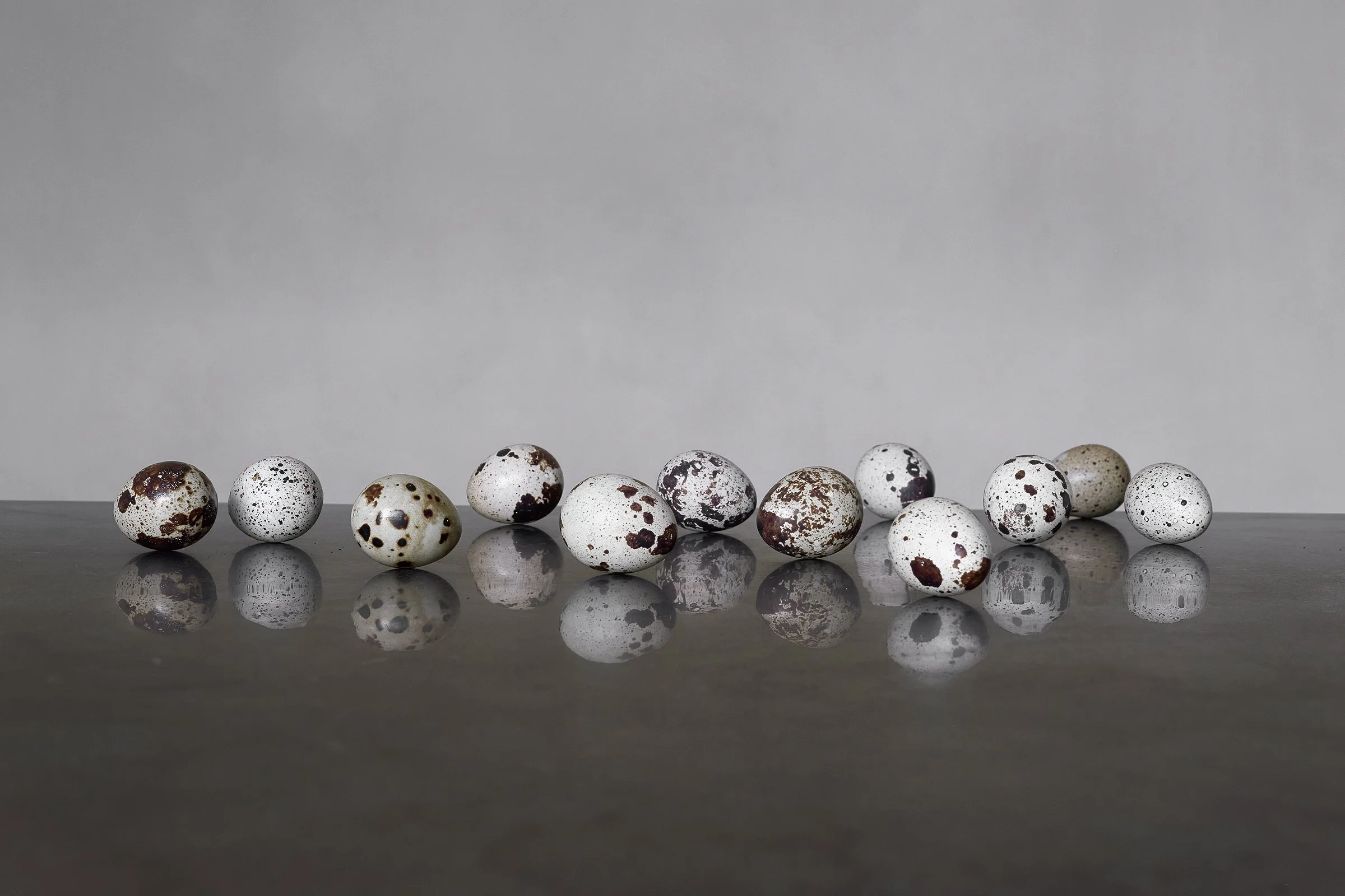 Eighteen quail eggs with speckled brown and black spots arranged on a reflective dark surface against a plain gray background.