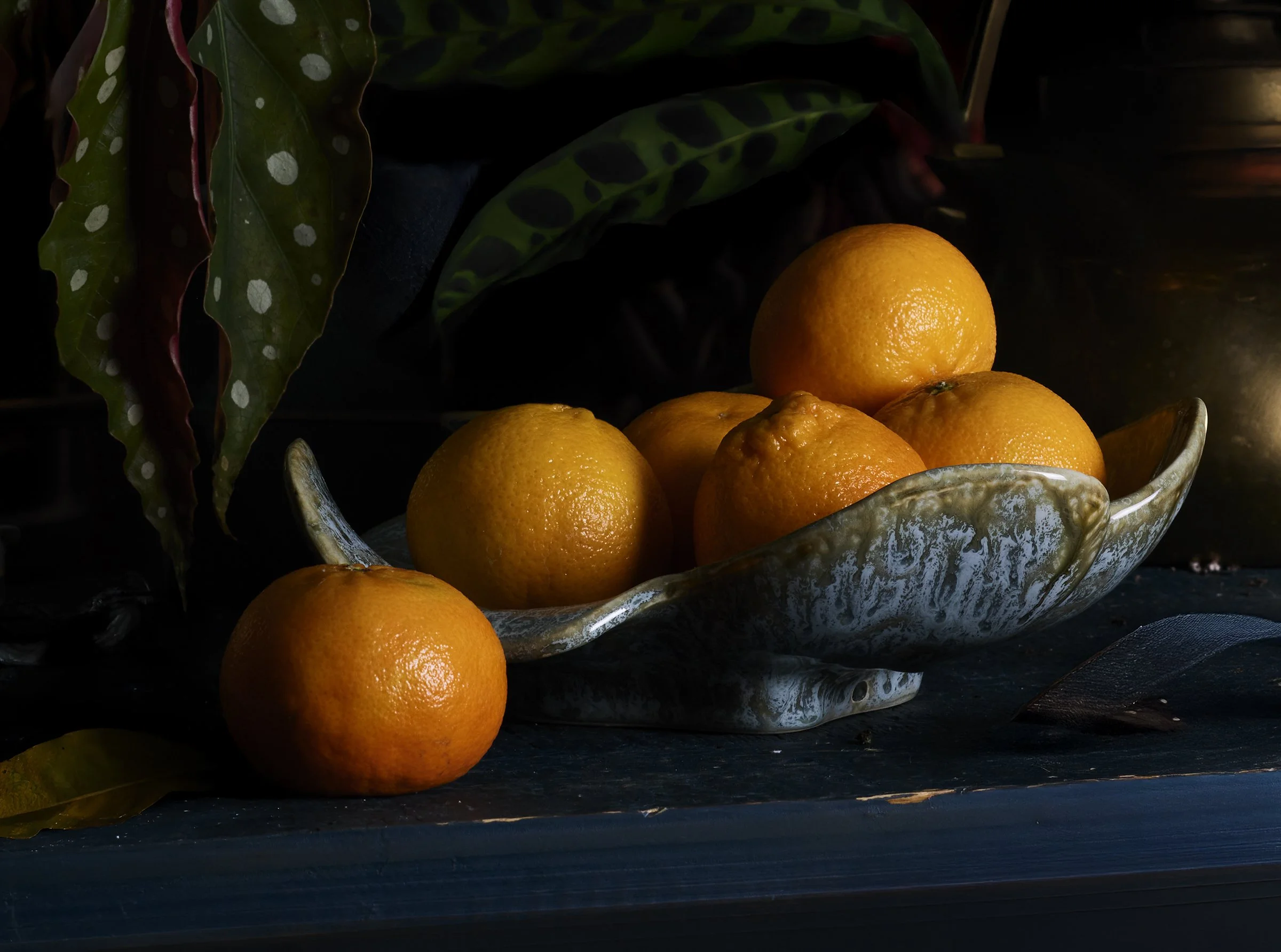 A decorative ceramic bowl filled with oranges, placed on a dark surface. Green leafy plants are in the background.