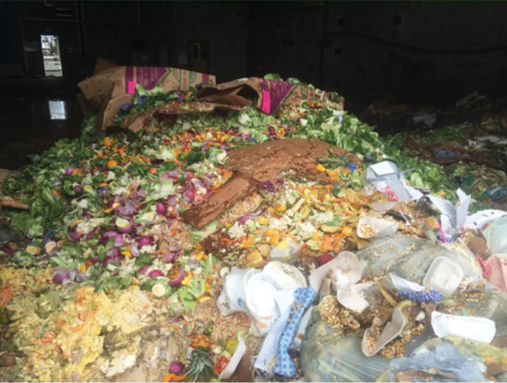 Organics 101: A Stakeholder’s Guide to Organic Waste Material and Potential Strategies for Processing