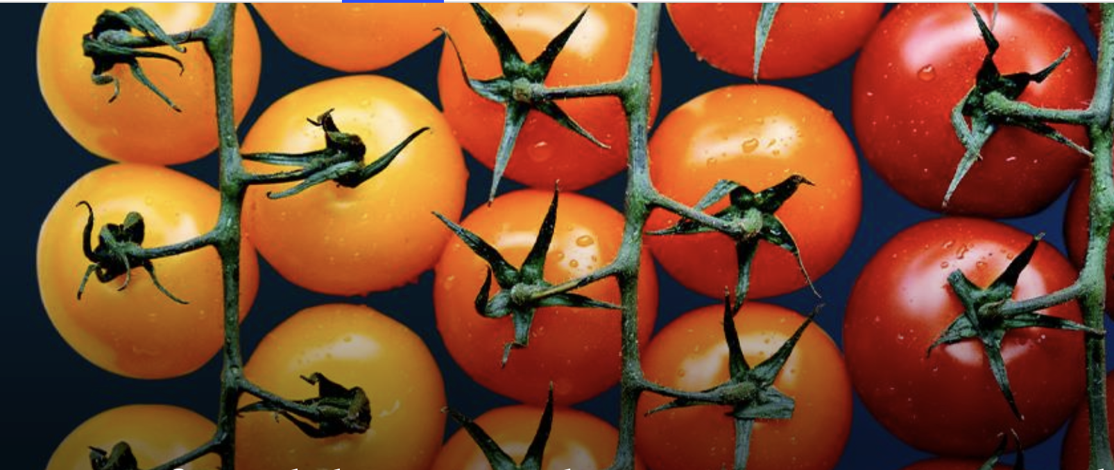 Reducing food loss: What grocery retailers and manufacturers can do