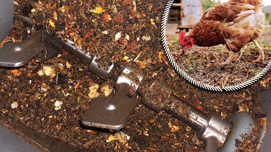 Recycled household food scraps get animal feed distribution green light
