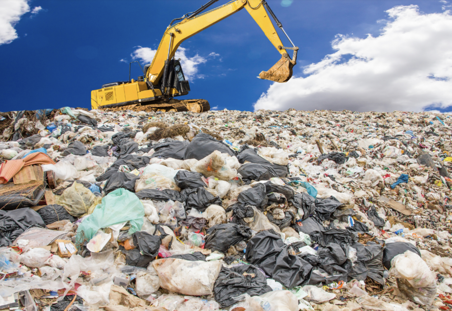 ReFED shares concerns about recent food waste ban study