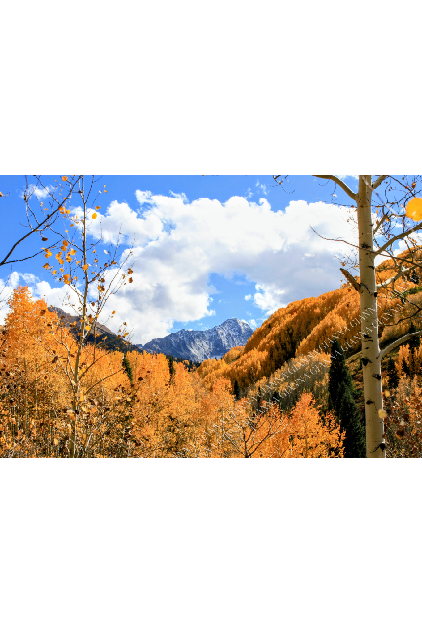 Viewpoint by Anna Byrnes