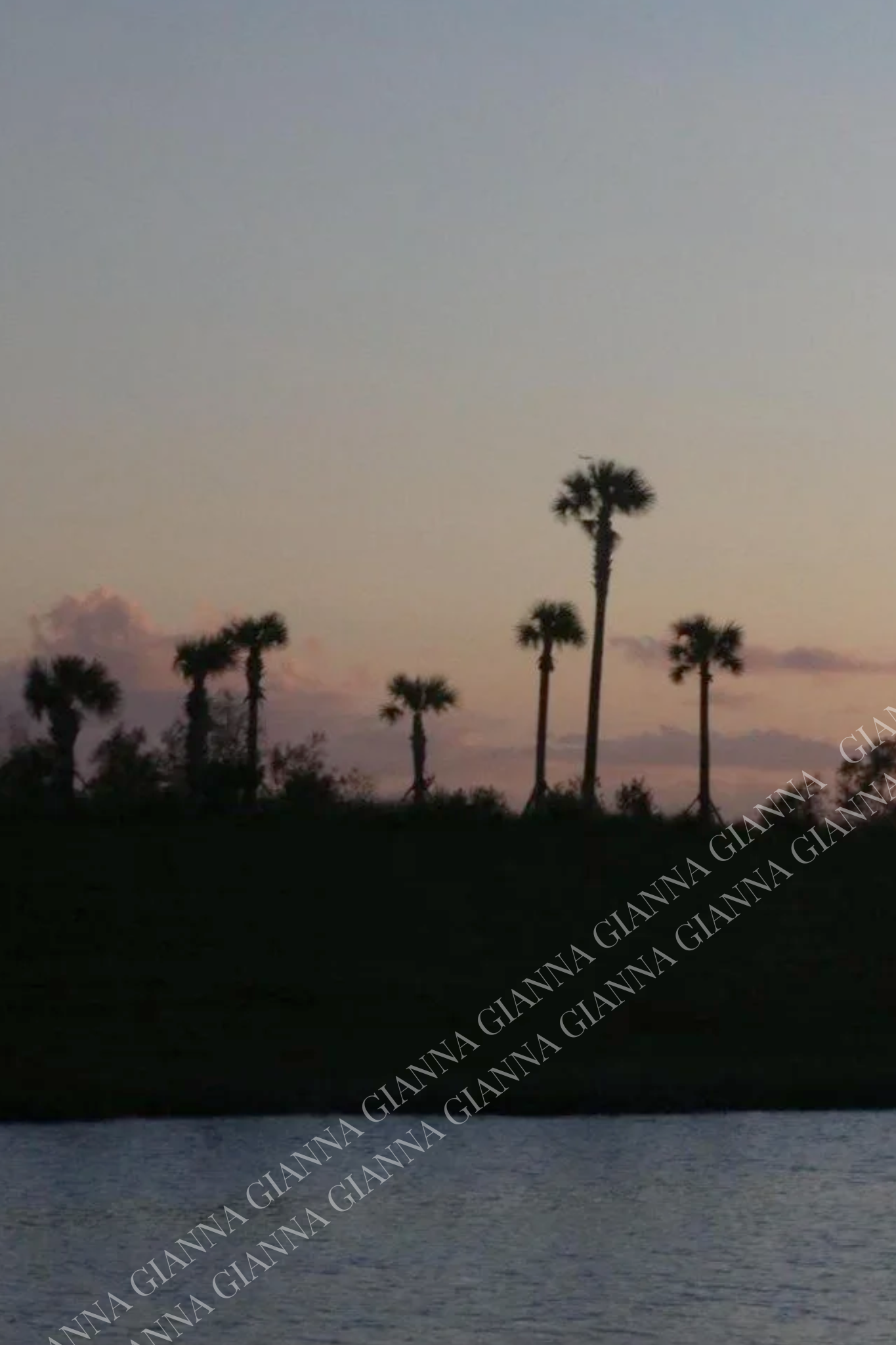 Calm Before The Storm