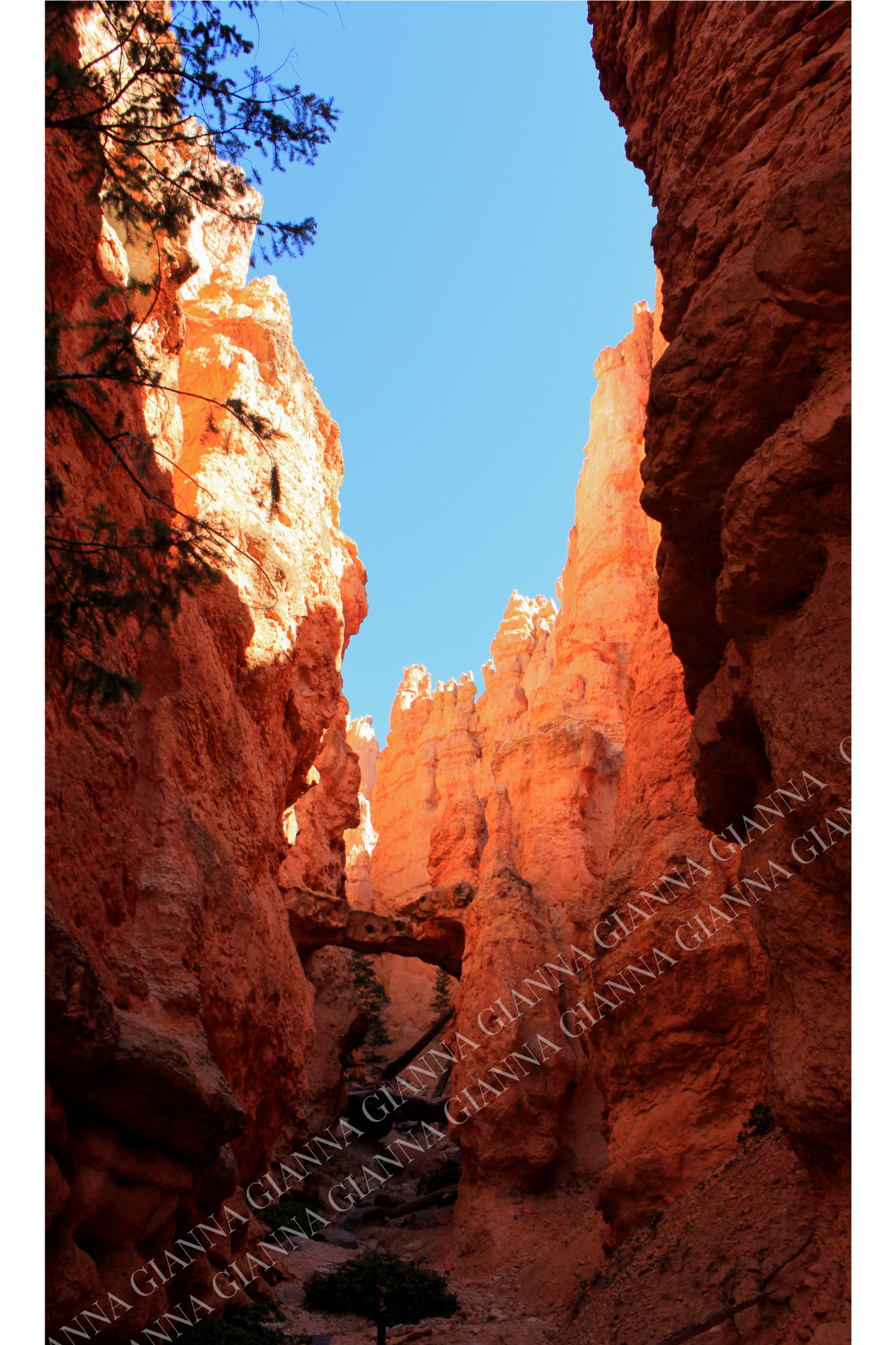 At the End of the Tunnel by Anna Byrnes