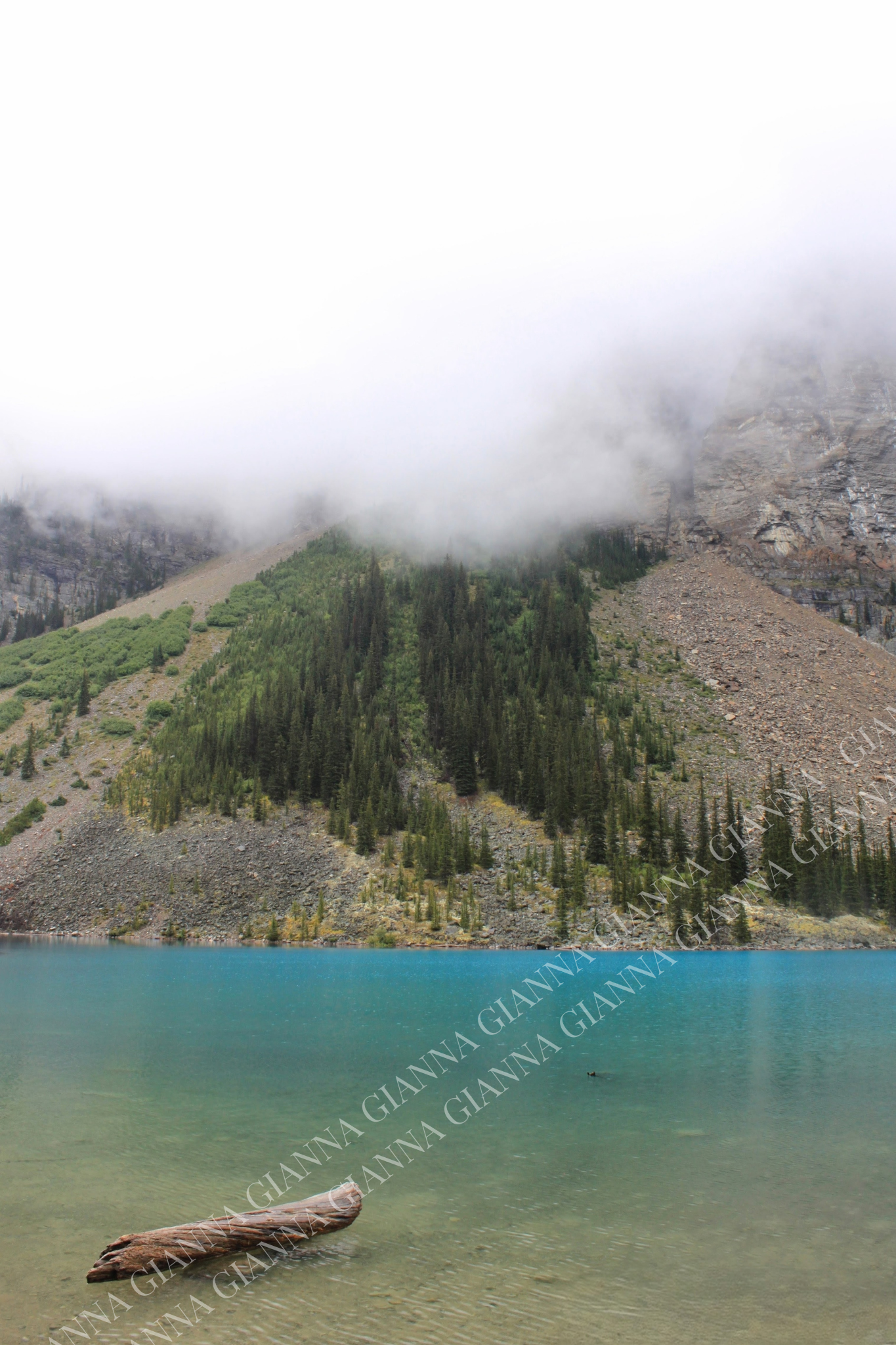 Translucent by Anna Byrnes