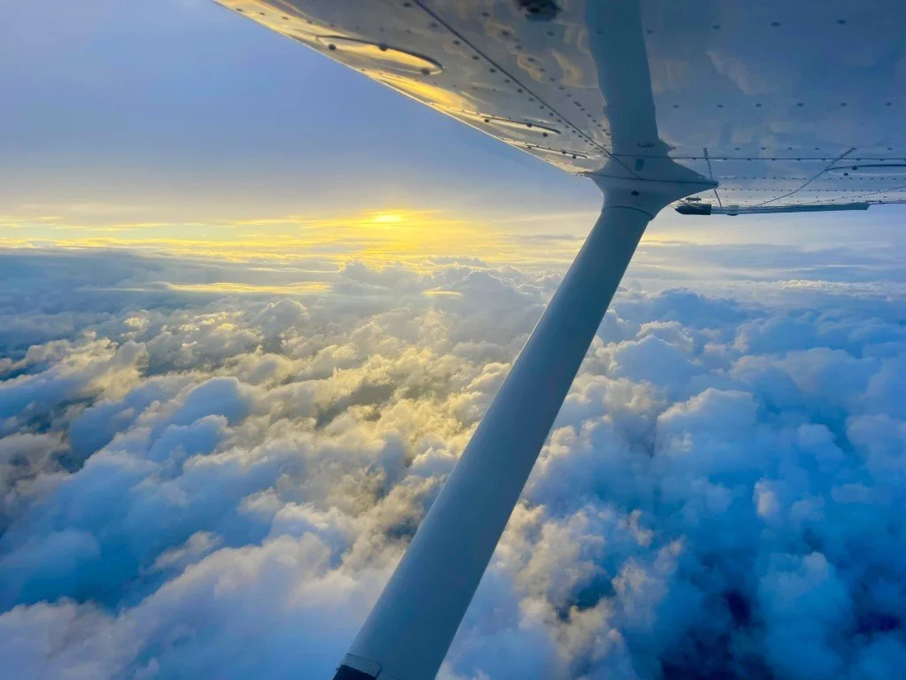 IMG_6319 (Medium).jpeg