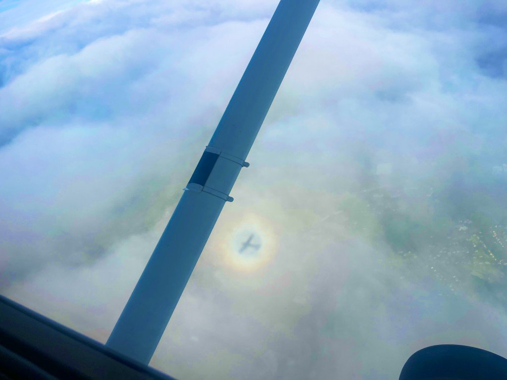 IMG_7821 (1) (Medium).jpeg