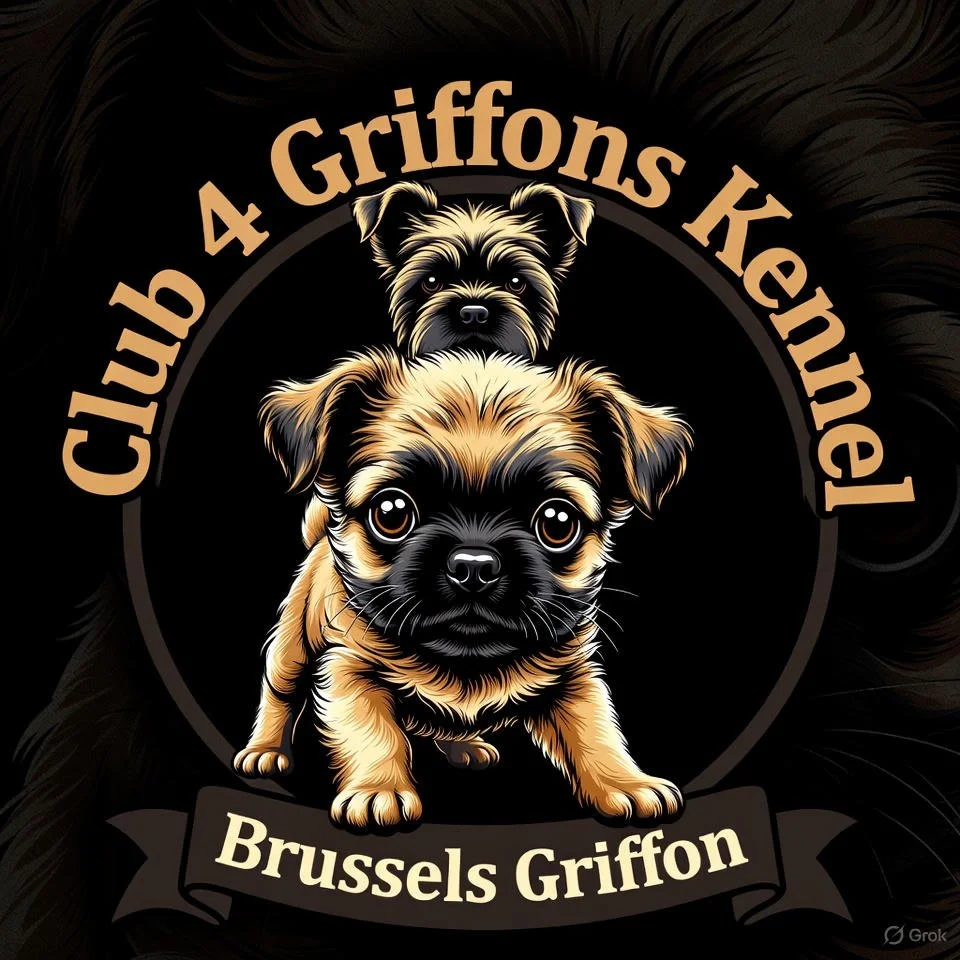 Club 4 Griffons