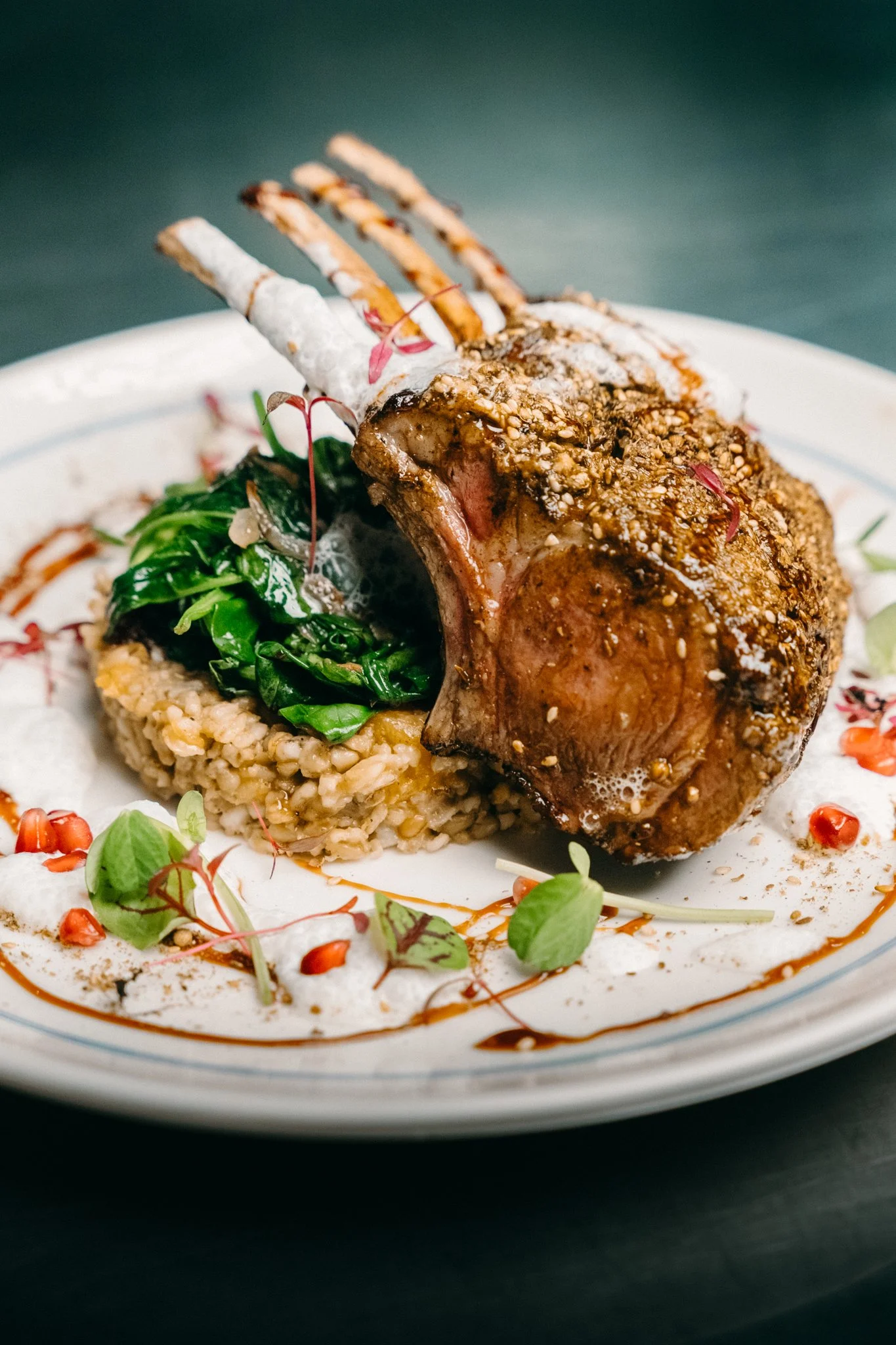 A plated dish featuring a lamb chop with toasted herbs, served with green vegetables and rice, garnished with microgreens and a drizzle of sauce.