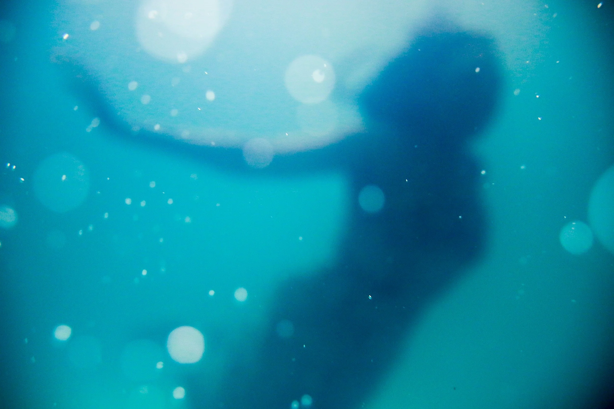 A silhouette of a person swimming underwater with bubbles surrounding them, in a blue aquatic environment.