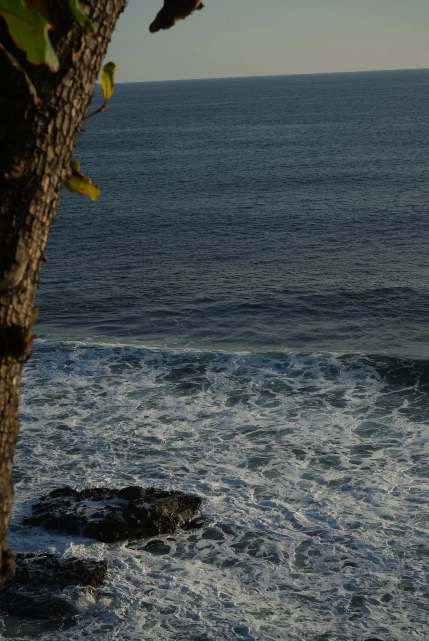 View of the ocean with waves crashing against rocks, seen from the shoreline, partially obscured by a tree trunk in the foreground.