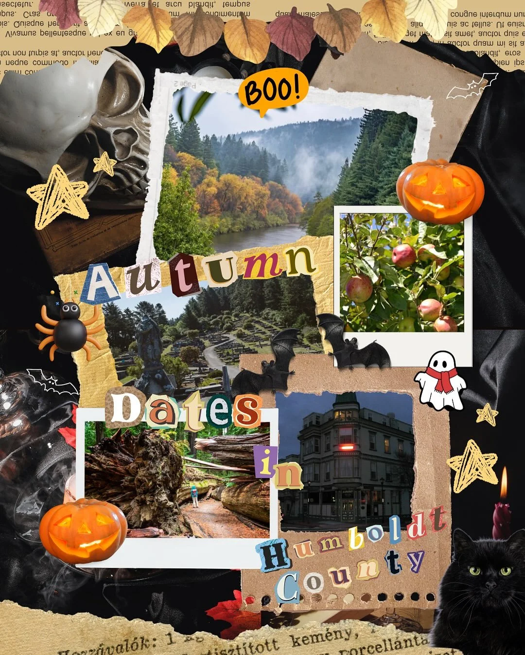 Crisp air, spooky flares, and cozy dates everywhere 🍂👻

Humboldt&rsquo;s got date ideas to match every mood this season. 

What&rsquo;s your go-to fall movie night pick? 🍿🕸️

&bull;
&bull;
&bull;
&bull;
&bull;
#autumn #scarymovies #cozydate #humb