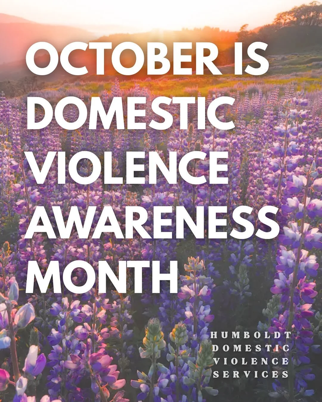 DVAM is here! 💜 October is all about breaking the silence and standing up for survivors. Everyone deserves safety, hope, and support. Catch us at farmers markets, block parties, and community events all over Humboldt County throughout the month of O