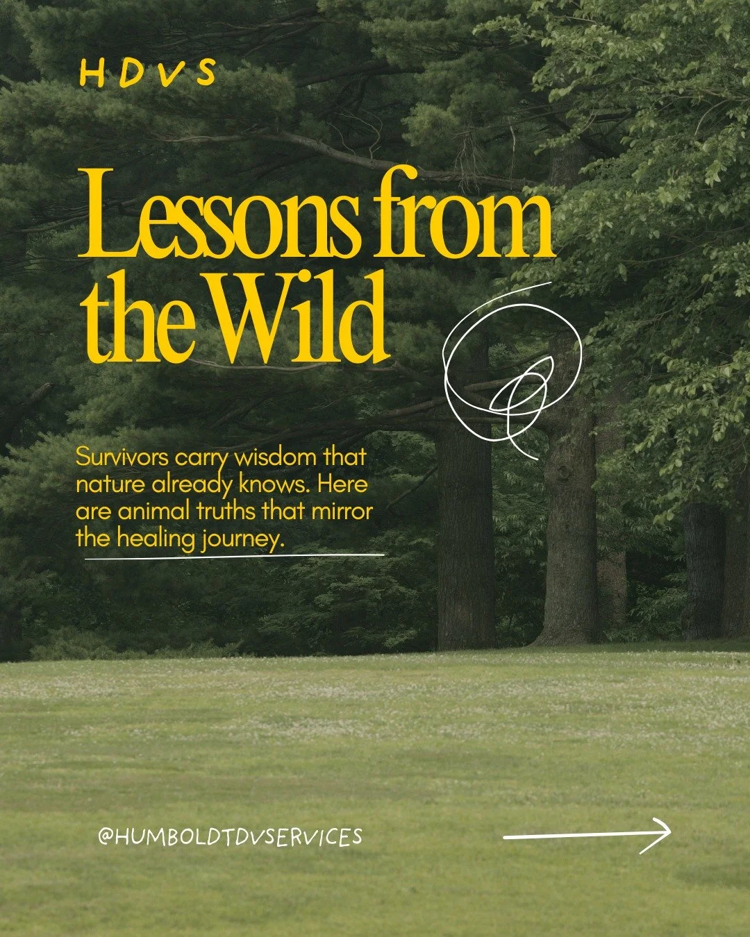 Nature has been rehearsing how to survive harm for millions of years. Octopus, wolf, bee, elephant-- each one carries an answer about regrowing, leaving, leaning, and remembering. 

We are not inventing healing from nothing; we are catching up to wha