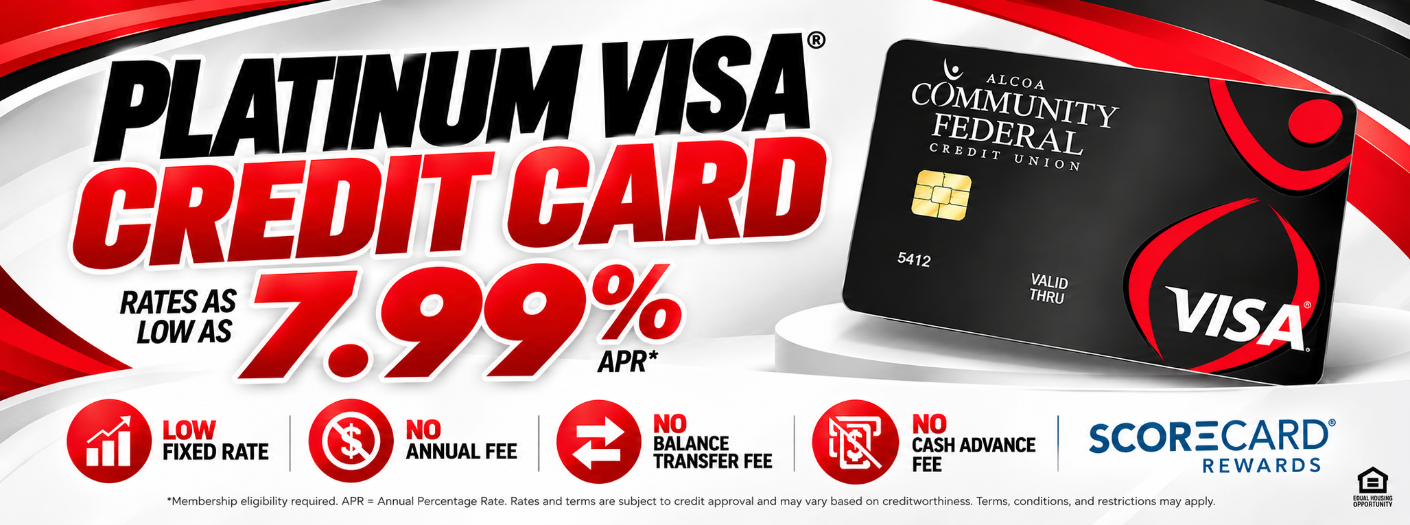 Platinum Visa Credit Card Banner.png