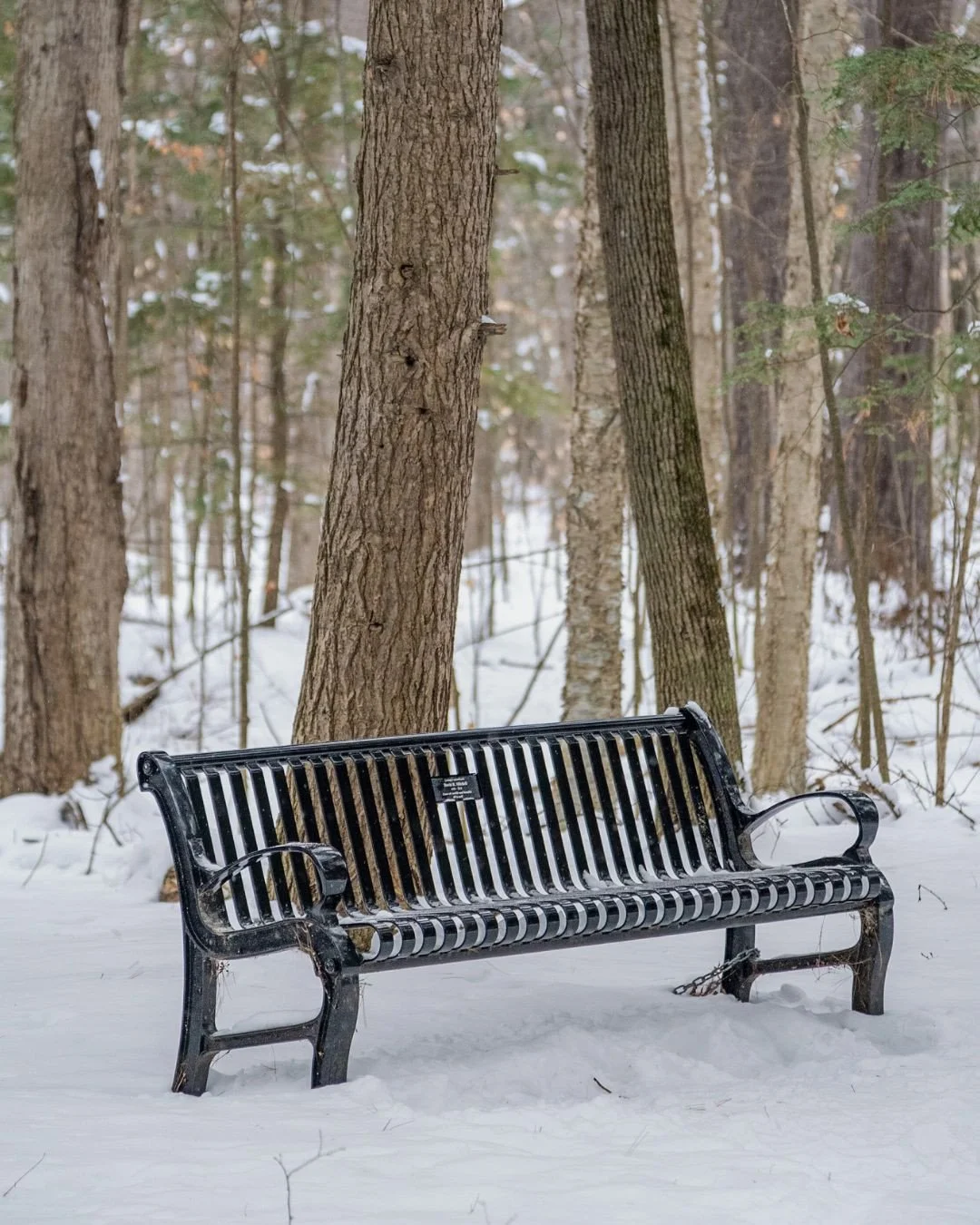 Step outside and let nature guide the way. 🌳⁠
⁠
From serene forest trails to Arnprior&rsquo;s waterfront, every path invites you to pause and take in a landscape shaped by time and quiet beauty. Nature is right outside your door and just steps from 