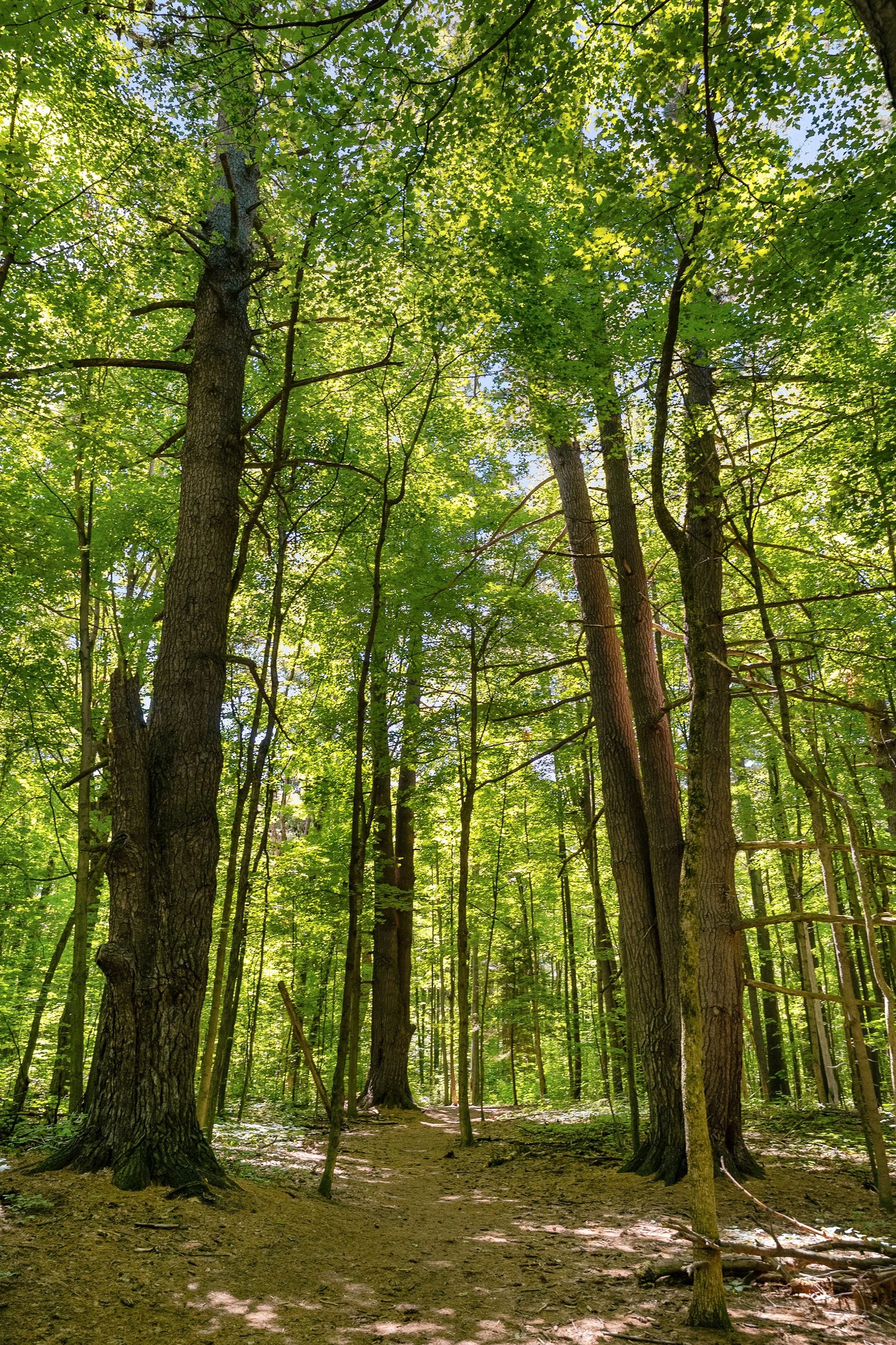 Adventure Awaits Just Outside Your Door at Sawmill Flats