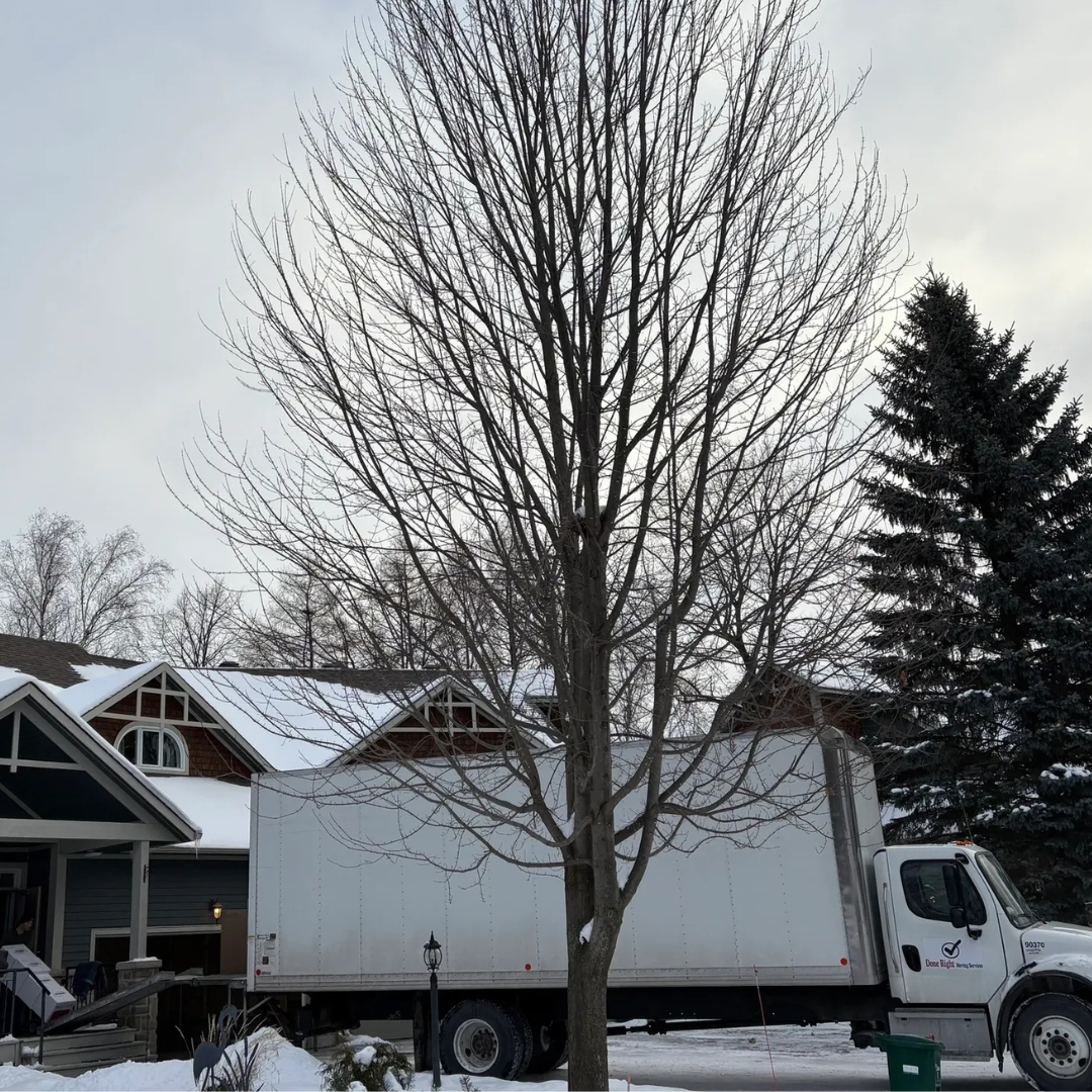 A leafless tree in front of a house with snow on the ground, a large white moving truck parked nearby, and evergreen trees in the background.