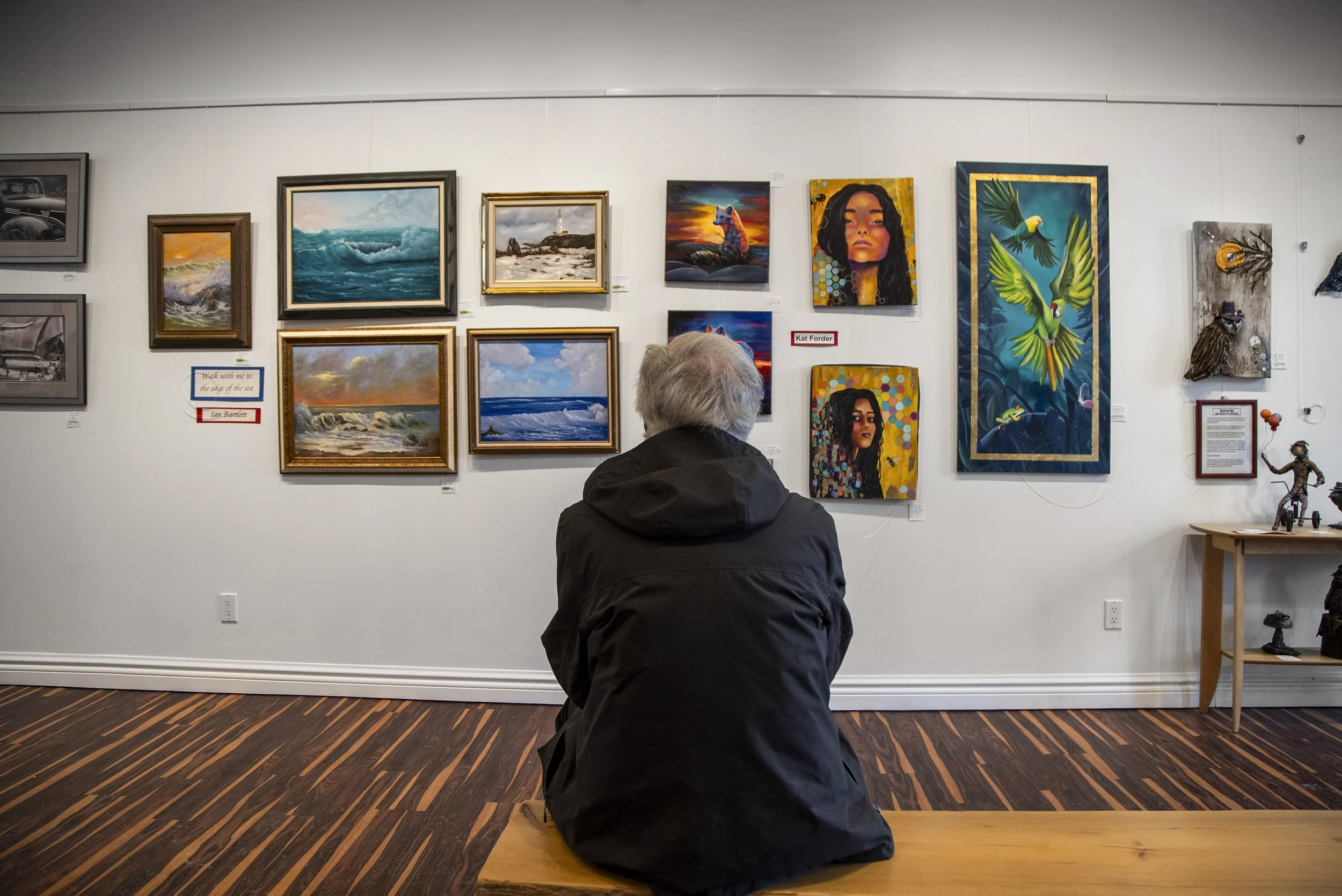 A person with gray hair wearing a black jacket is sitting on a wooden bench and looking at artwork on a gallery wall, which includes landscape paintings, a portrait of a woman, and colorful art along with some sculptures.