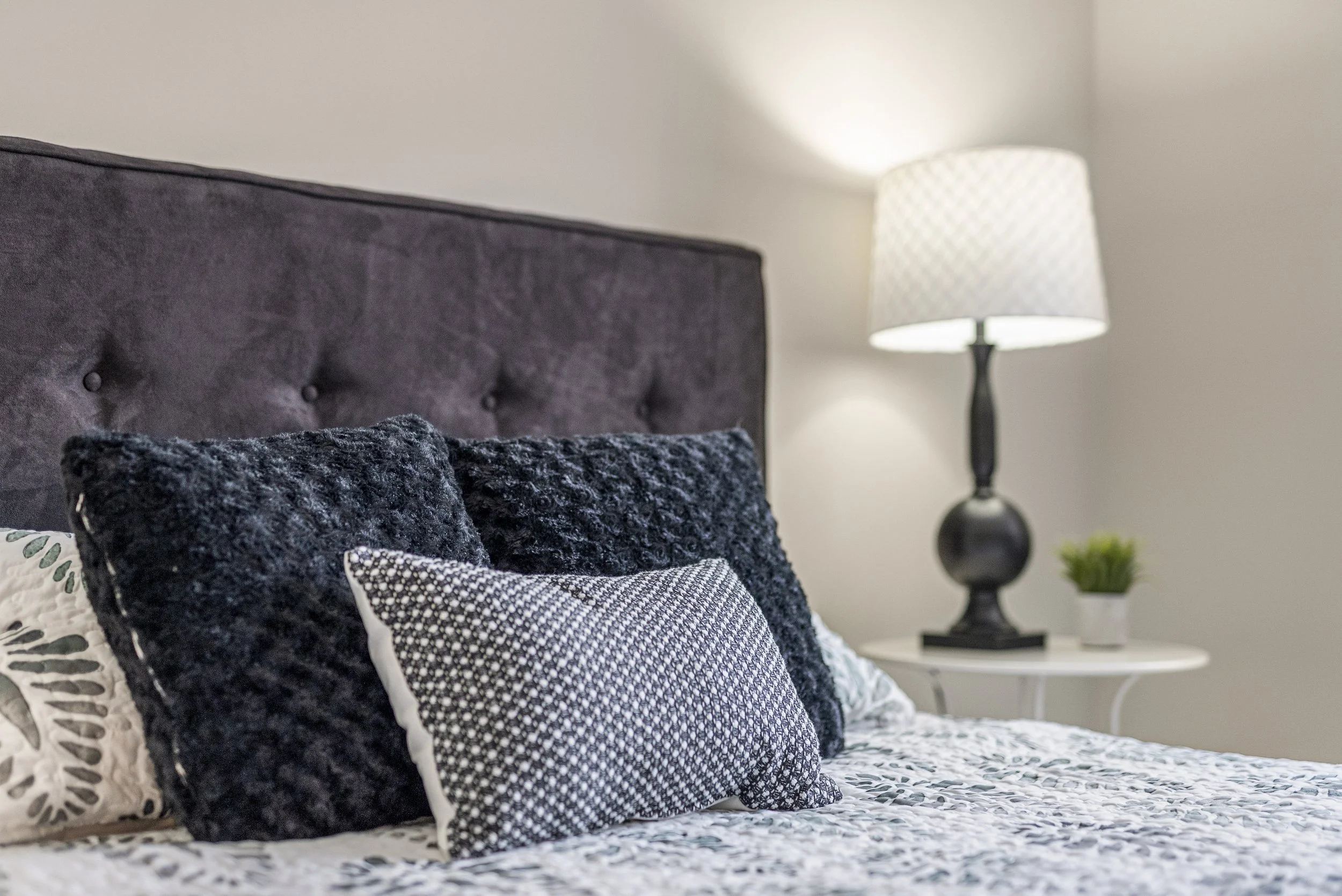 A bedroom with a dark upholstered headboard, decorative pillows with black, white, and patterned covers, a white bedside table, a black table lamp with a white shade, and a small green plant in a white pot.