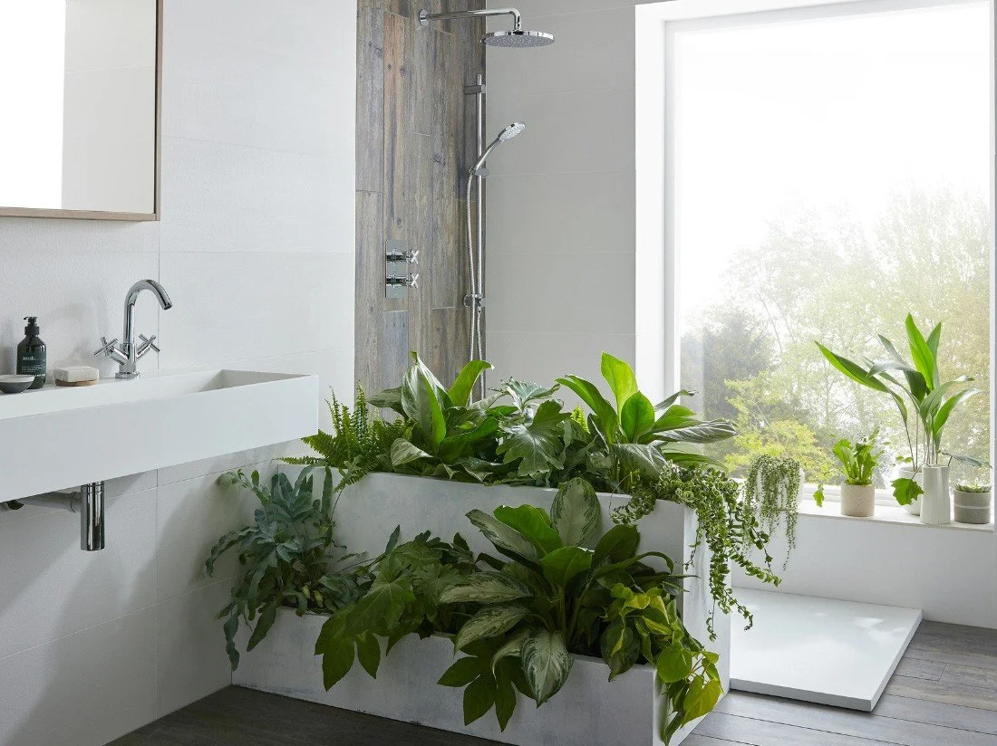 Bathroom Renovation Tips