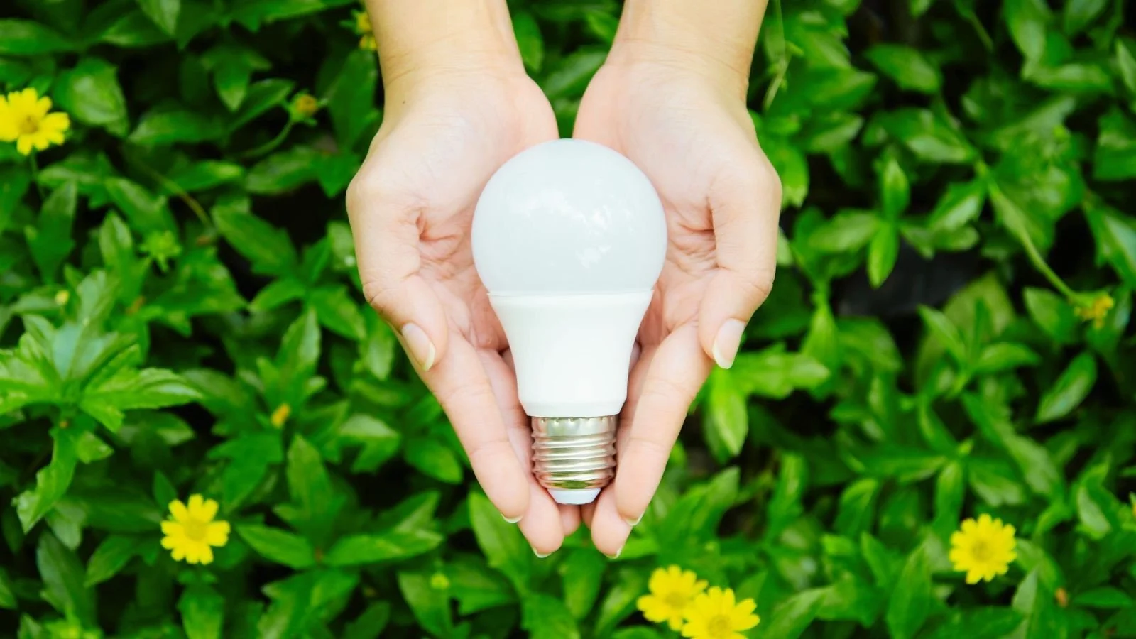 Top 10 tips for an eco friendly home